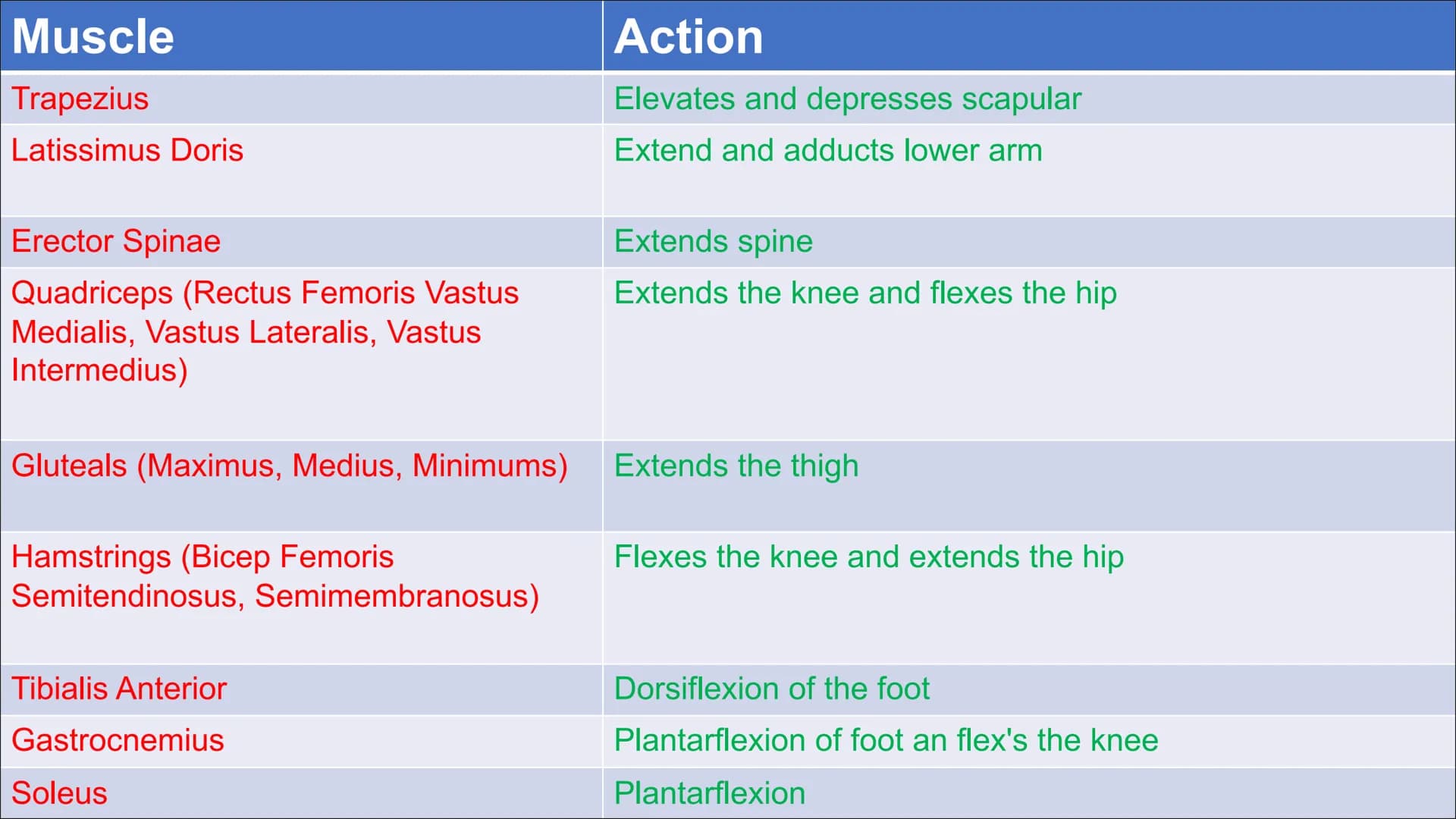 Functional
Anatomy - The
Muscular
System
Aims - to know the functions of the
Muscular system and locations of the
bones Types of Movement
Fl