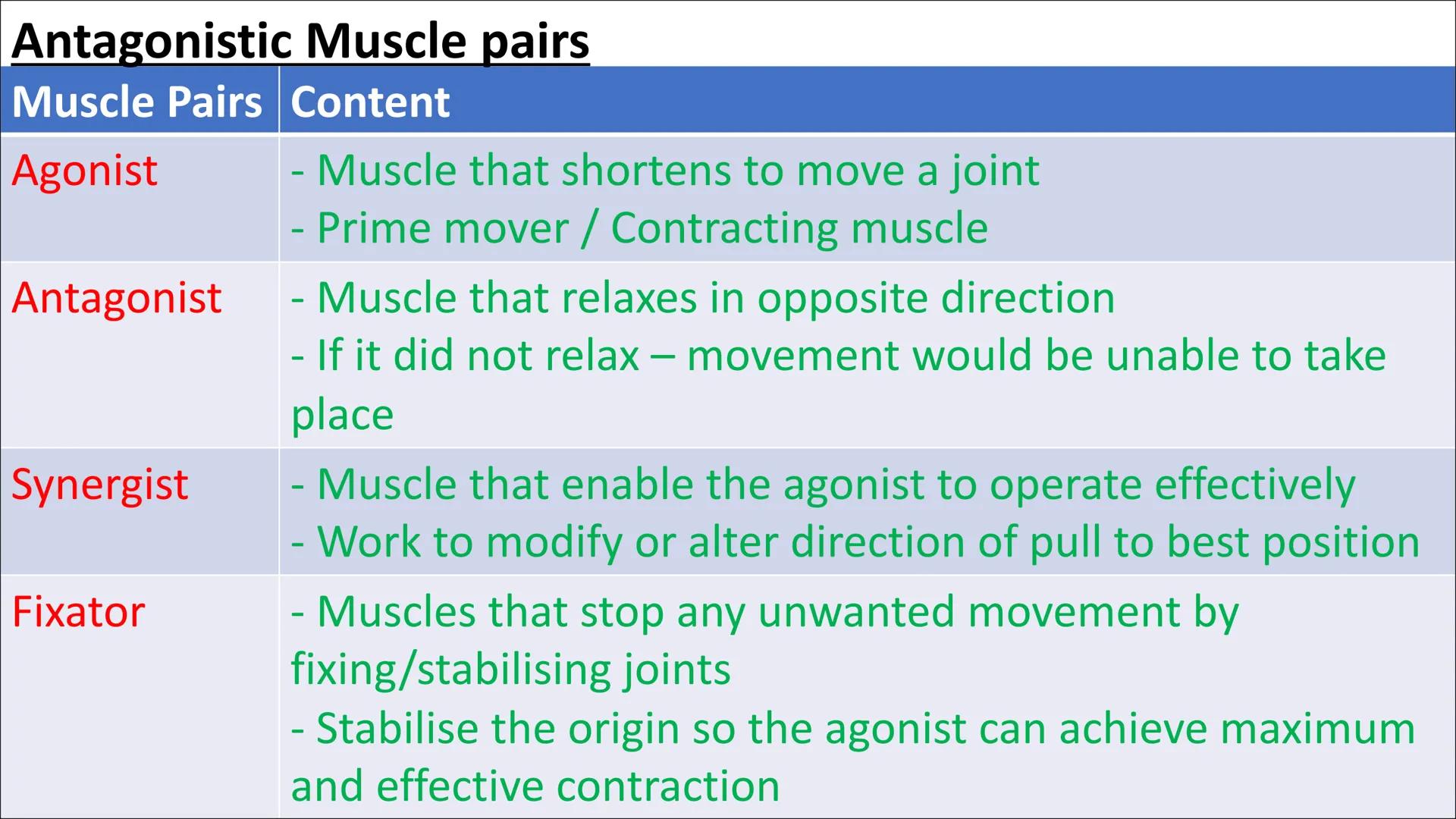 Functional
Anatomy - The
Muscular
System
Aims - to know the functions of the
Muscular system and locations of the
bones Types of Movement
Fl