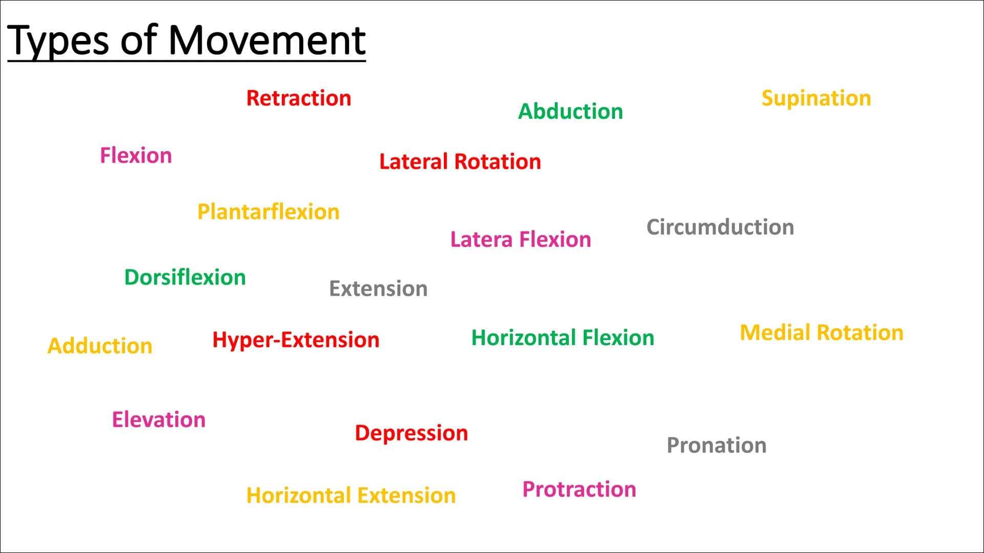 Functional
Anatomy - The
Muscular
System
Aims - to know the functions of the
Muscular system and locations of the
bones Types of Movement
Fl