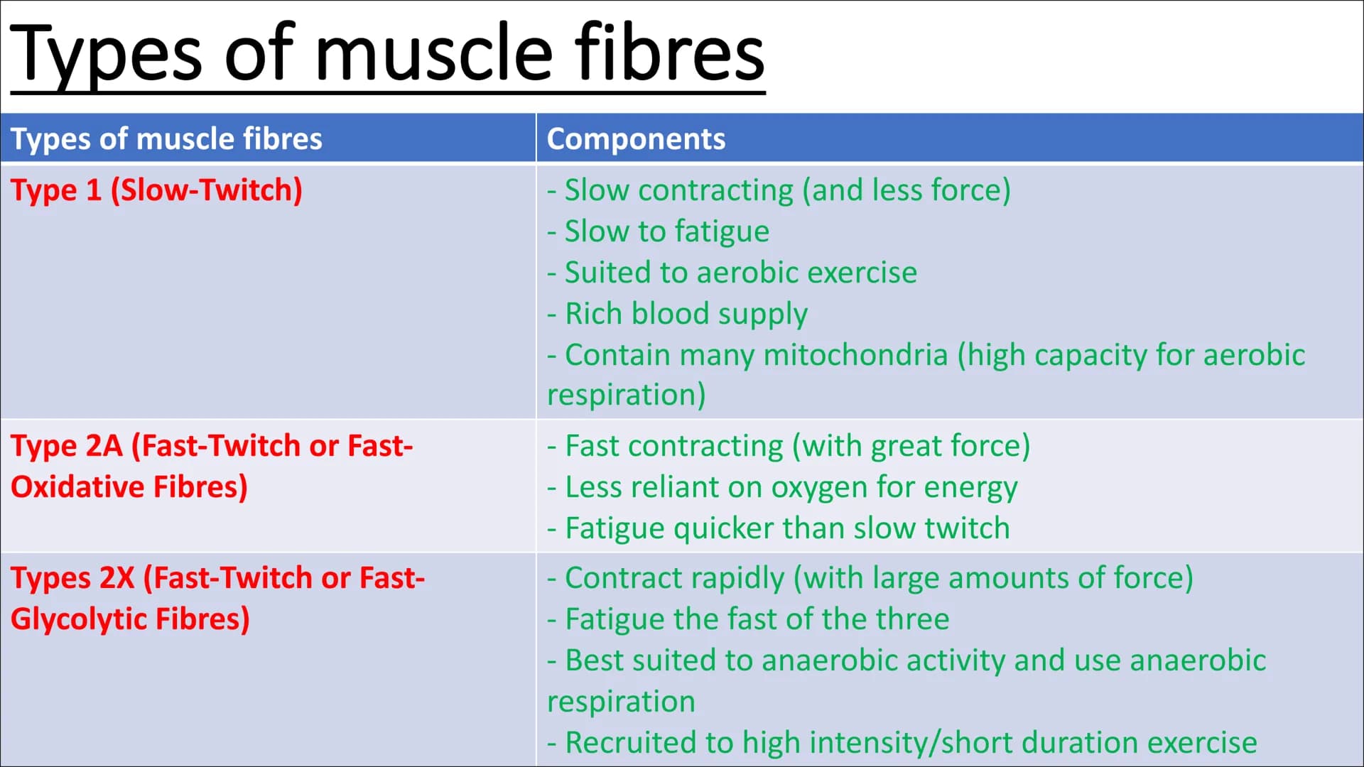 Functional
Anatomy - The
Muscular
System
Aims - to know the functions of the
Muscular system and locations of the
bones Types of Movement
Fl