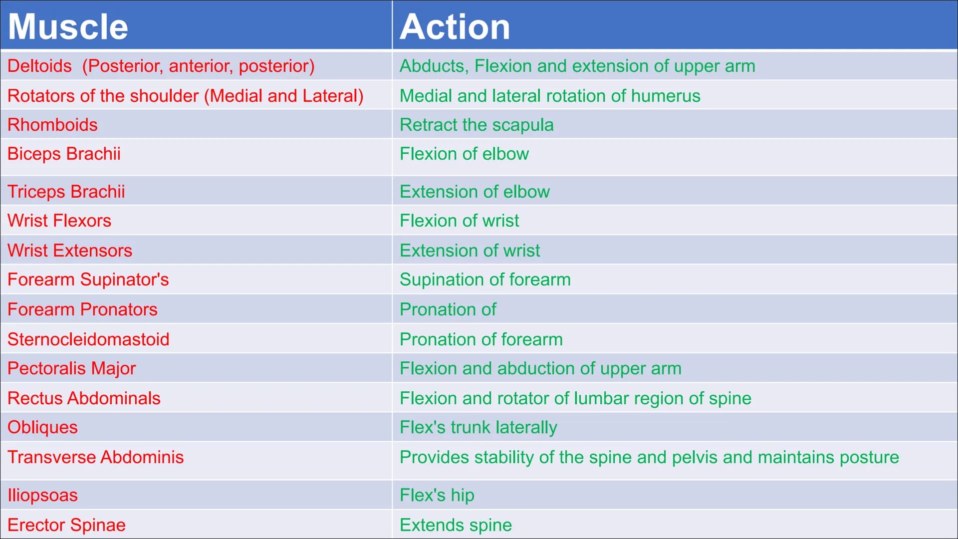 Functional
Anatomy - The
Muscular
System
Aims - to know the functions of the
Muscular system and locations of the
bones Types of Movement
Fl