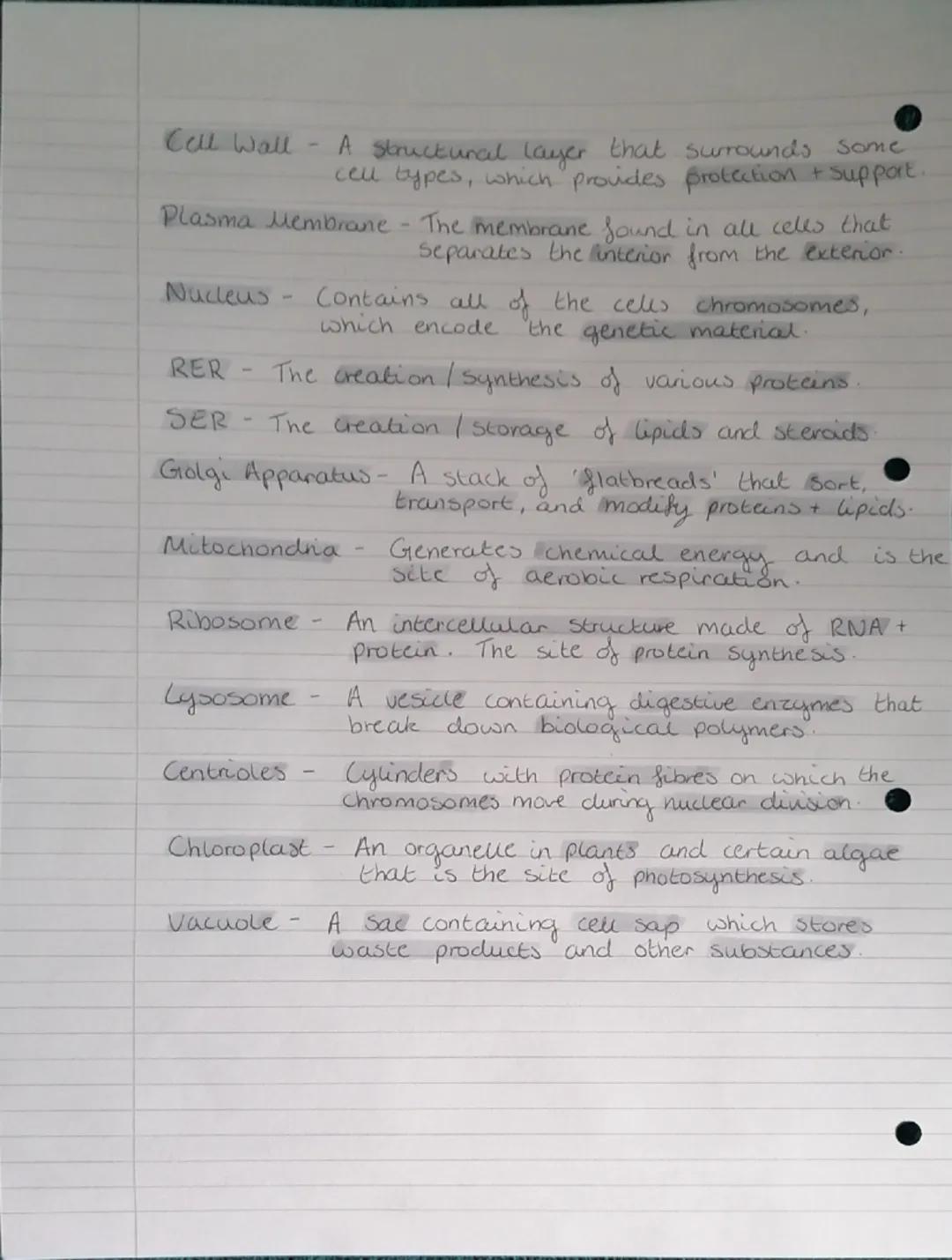 Eukaryotic cells.
Golgi
Apparatus
Nucleus
and
Nucleolus
RER
SER
Plasma (cell)
Membrane
Golgi Apparatus
Chloroplast
SER
Nucleus
and
Nucledus
