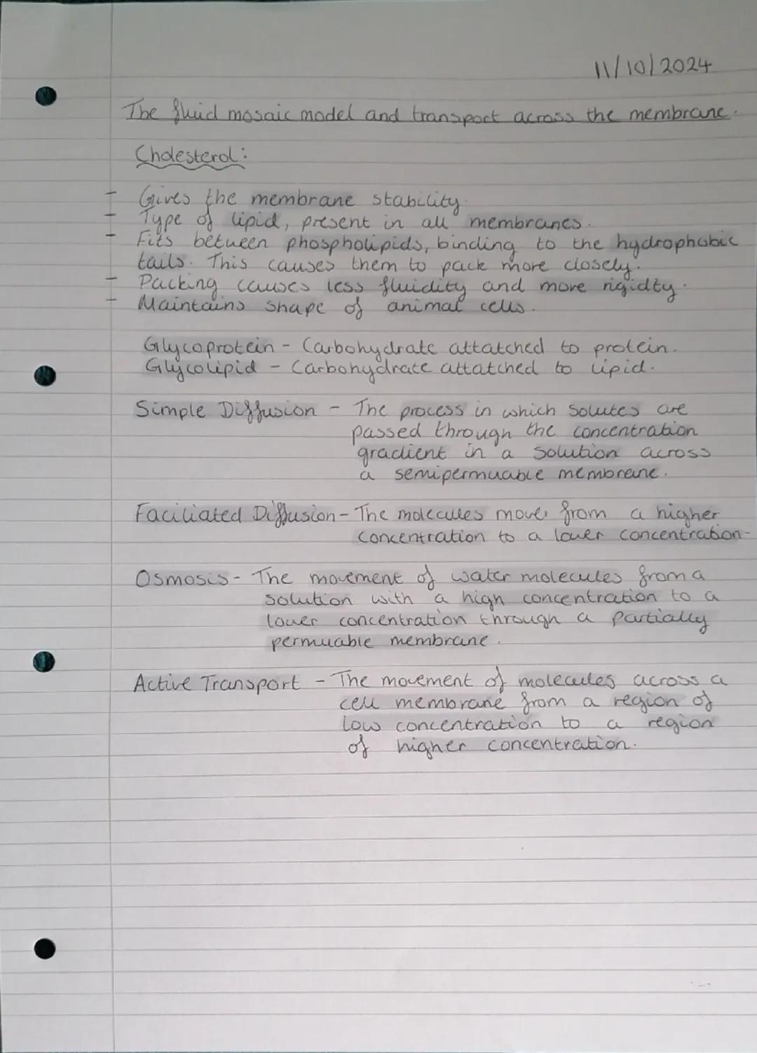 Eukaryotic cells.
Golgi
Apparatus
Nucleus
and
Nucleolus
RER
SER
Plasma (cell)
Membrane
Golgi Apparatus
Chloroplast
SER
Nucleus
and
Nucledus
