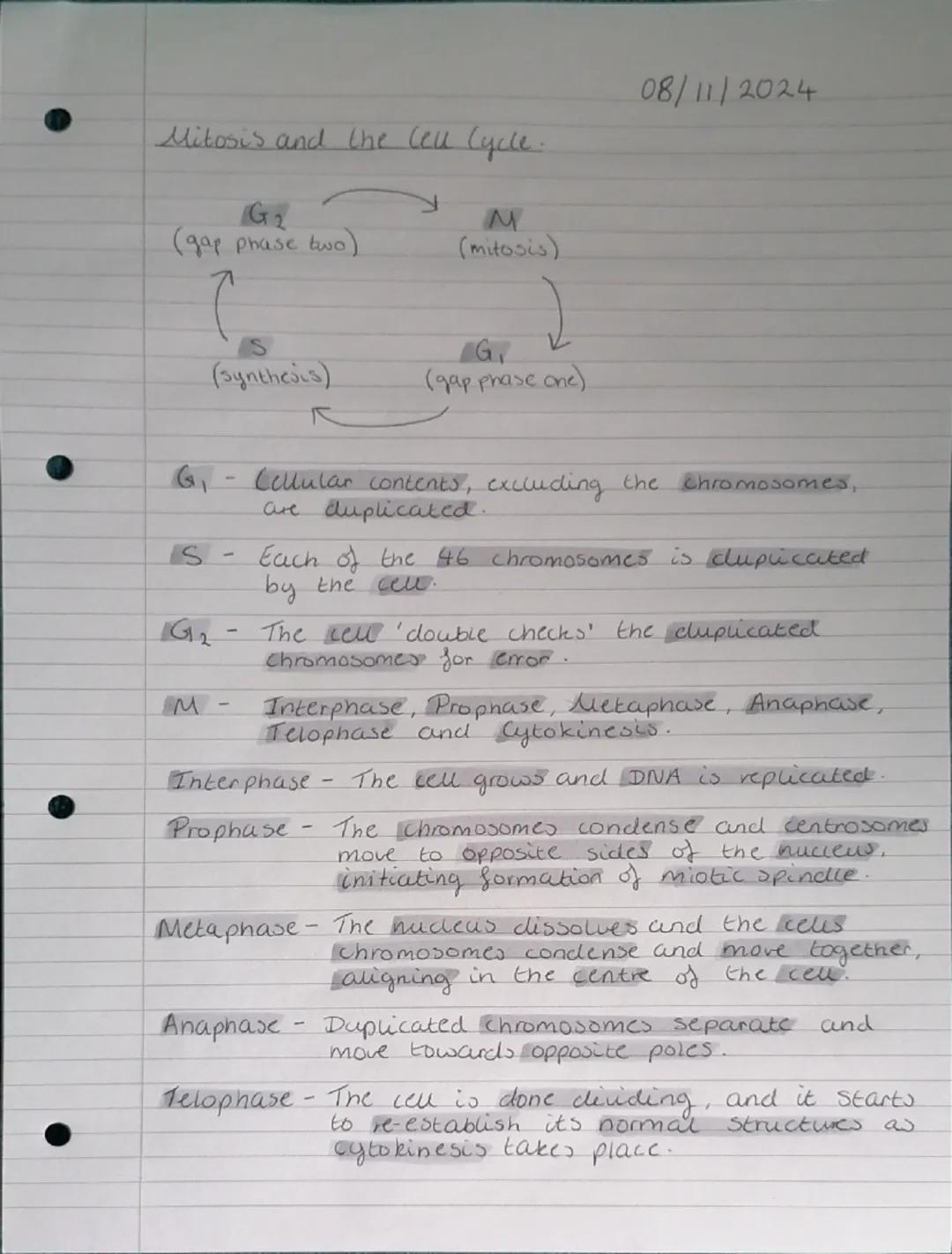 Eukaryotic cells.
Golgi
Apparatus
Nucleus
and
Nucleolus
RER
SER
Plasma (cell)
Membrane
Golgi Apparatus
Chloroplast
SER
Nucleus
and
Nucledus
