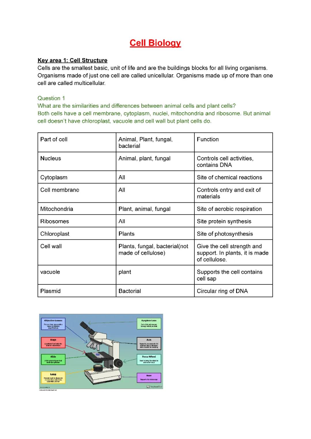 Animal vs. Plant Cells: What’s the Difference? Plus, How Cell Membranes and Osmosis Work!