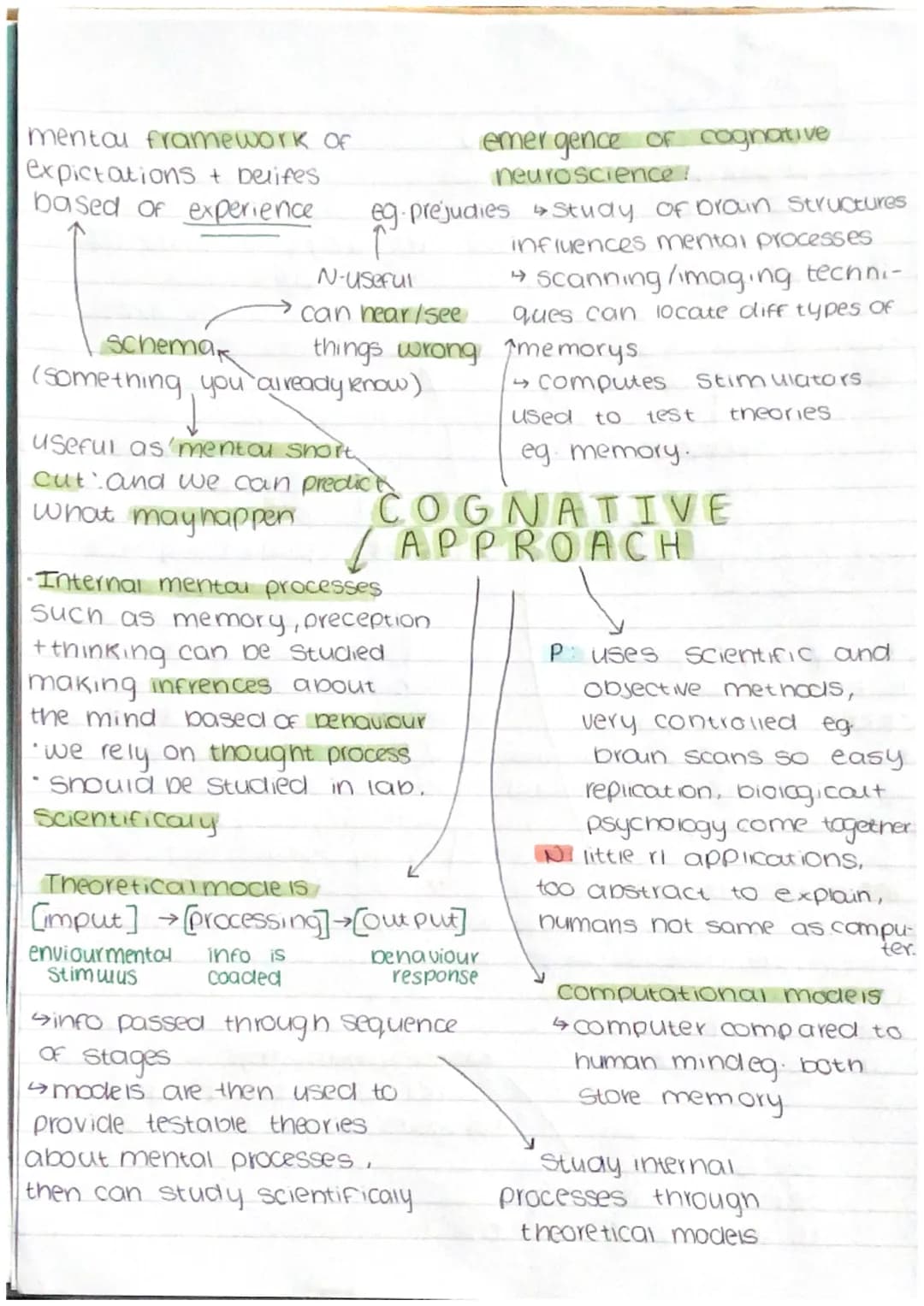 mental framework of
expictations + belifes
based of experience
emergence of cognative
neuroscience!.
eg prejudies ↳ Study of brain Structure