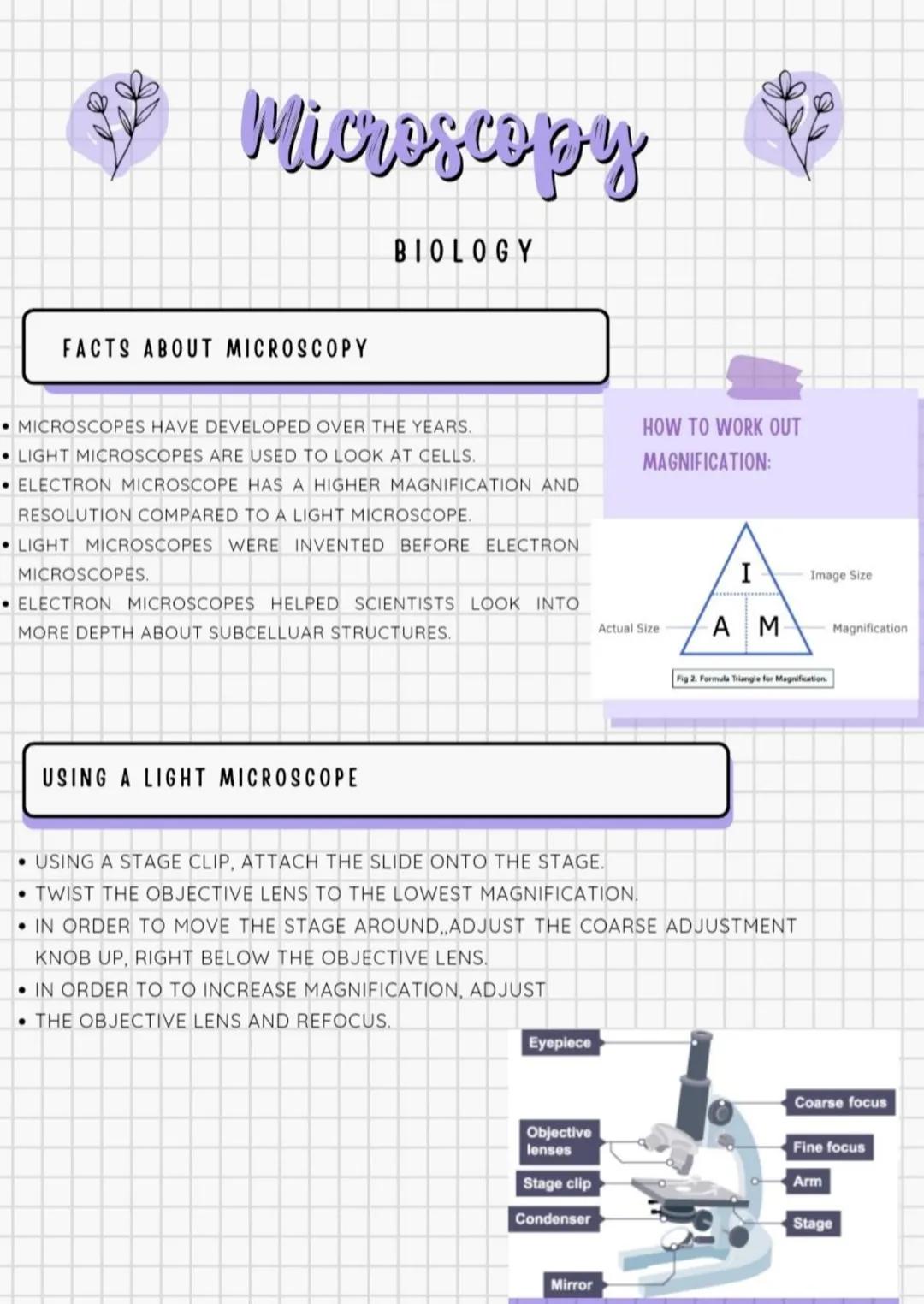 Microscopy
FACTS ABOUT MICROSCOPY
BIOLOGY
MICROSCOPES HAVE DEVELOPED OVER THE YEARS.
LIGHT MICROSCOPES ARE USED TO LOOK AT CELLS.
ELECTRON M