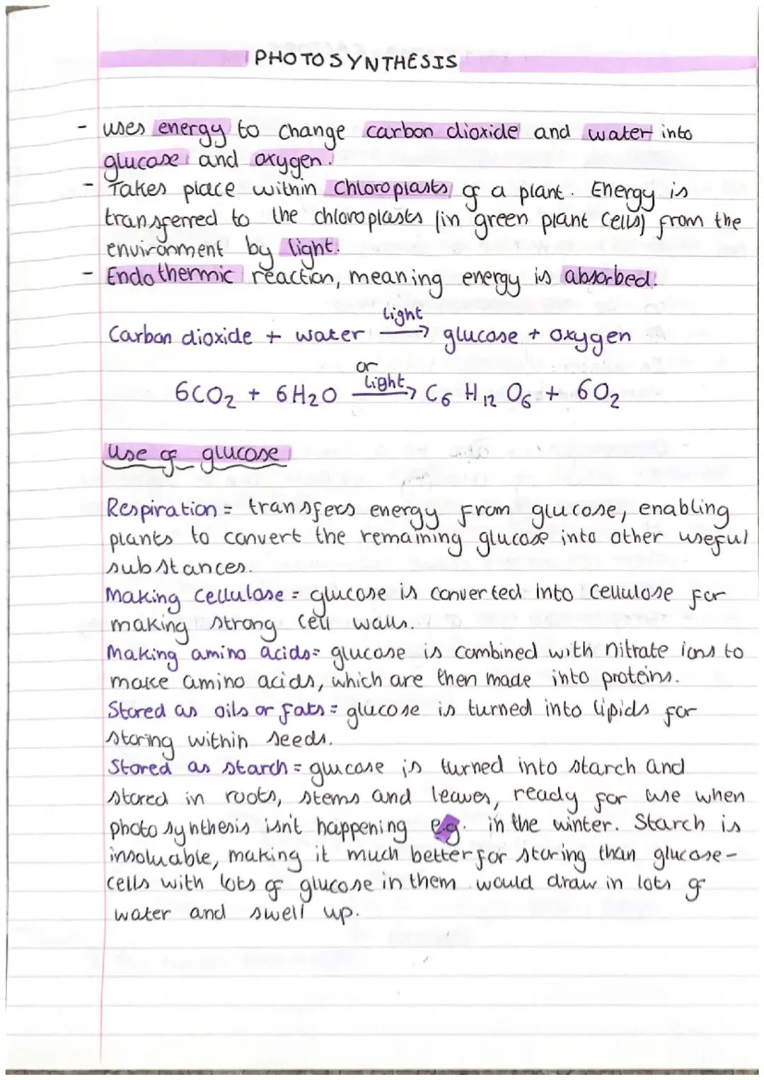 Topic 4 - Bioenergetics
