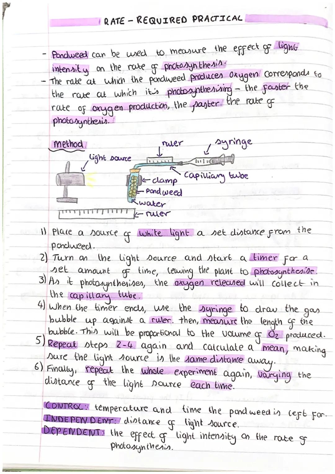 -
-
-
PHOTOSYNTHESIS
uses energy to change carbon dioxide and water into
glucase and oxygen.
Takes place within chloroplasts of a plant. Ene