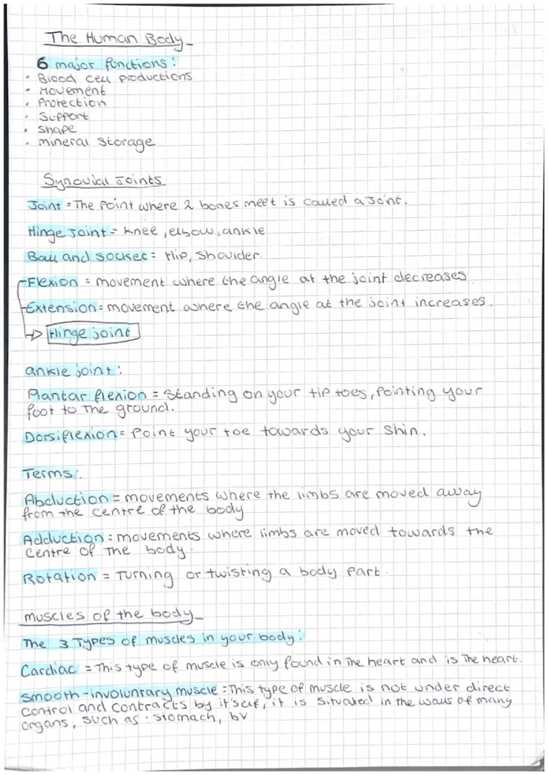 The Human Body-

6 major functions!
- Blood ceu productions.
- Movement
- Protection
- Support
- Shape
- mineral storage.

Synovial Joints

