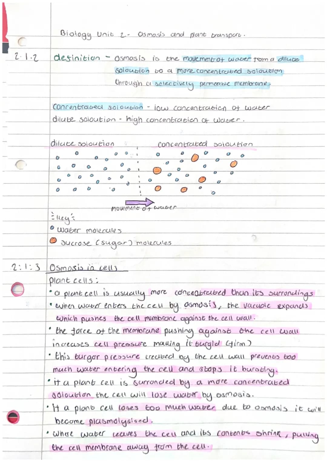 C
2.1.2
Biology Unit 2-
definition Osmosis is the movement of water from a dilute
soloution to a more concentrated soloution
through a selec