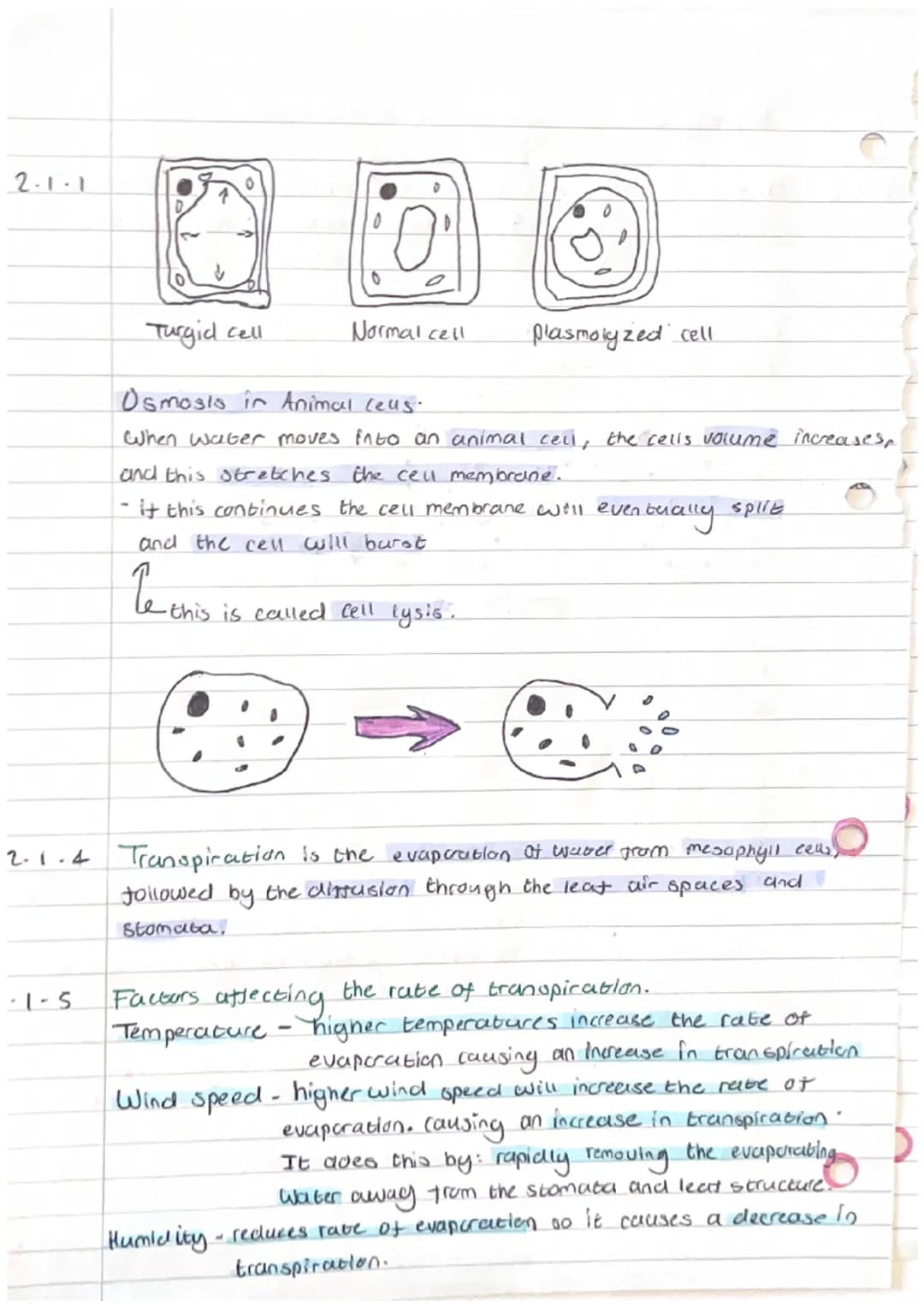C
2.1.2
Biology Unit 2-
definition Osmosis is the movement of water from a dilute
soloution to a more concentrated soloution
through a selec