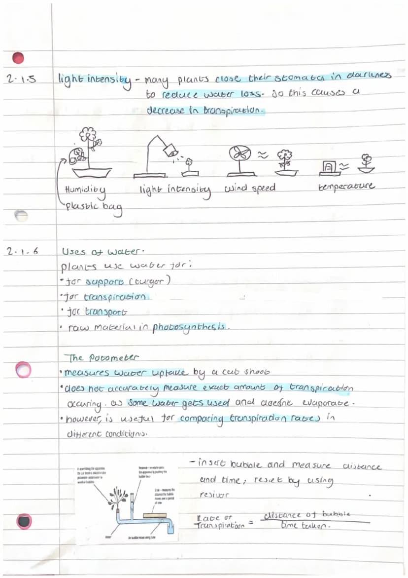 C
2.1.2
Biology Unit 2-
definition Osmosis is the movement of water from a dilute
soloution to a more concentrated soloution
through a selec