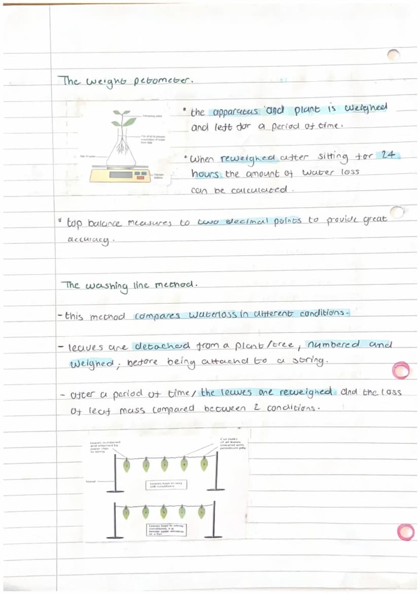 C
2.1.2
Biology Unit 2-
definition Osmosis is the movement of water from a dilute
soloution to a more concentrated soloution
through a selec