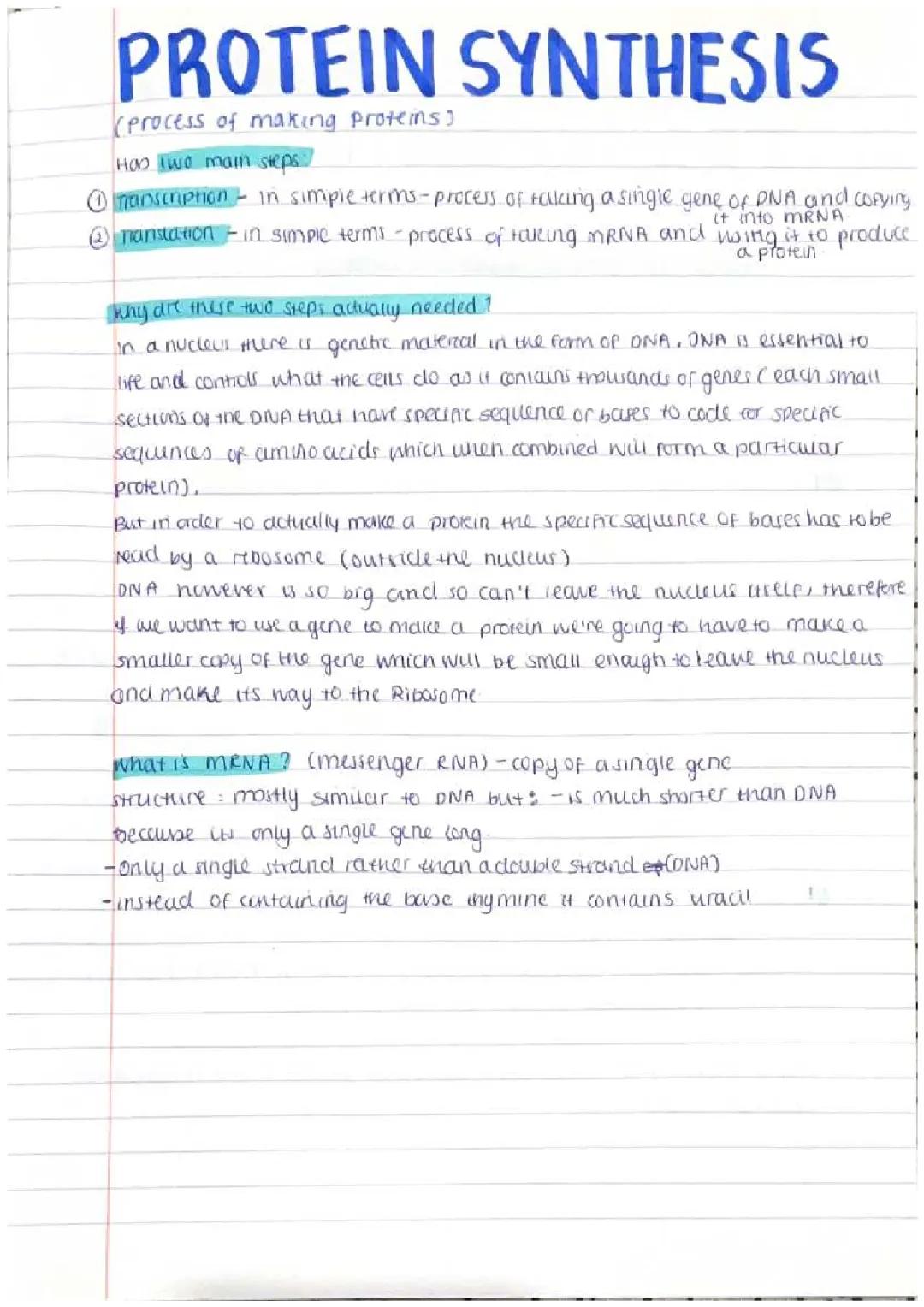 Protein synthesis