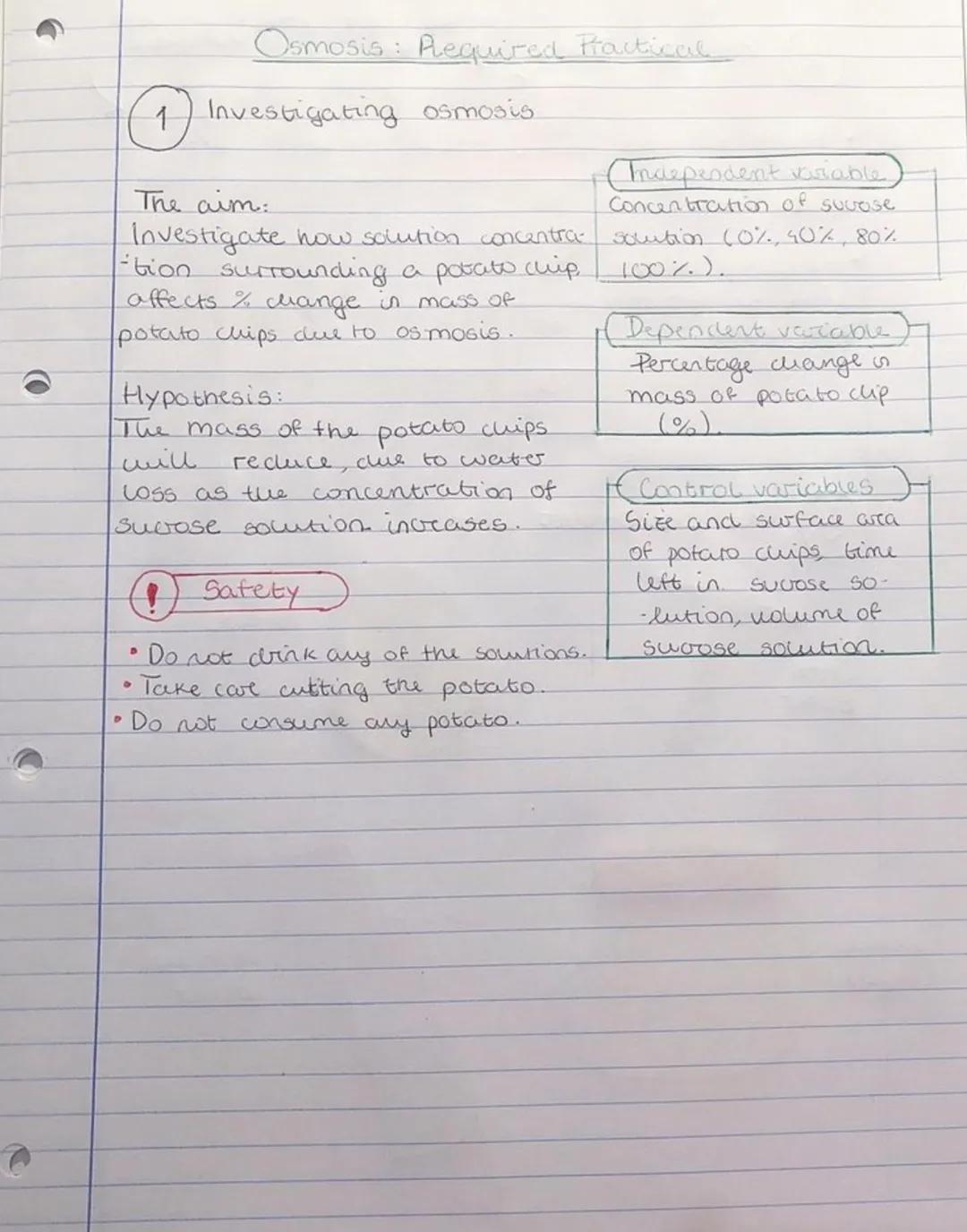 Easy Potato Osmosis Experiment: Practical Steps and Observations