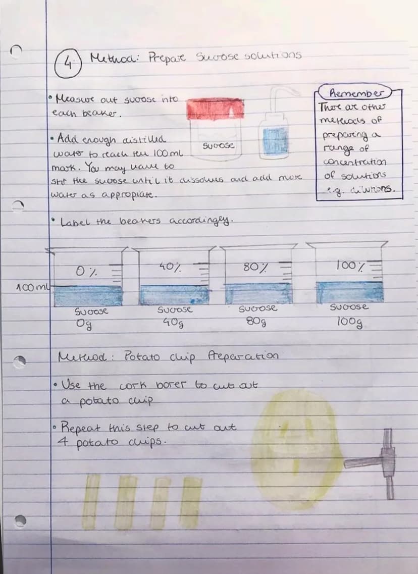 Osmosis: Required Practical
1) Investigating osmosis
The aim:
Investigate how solution concentra-
-tion surrounding a potato chip.
affects %