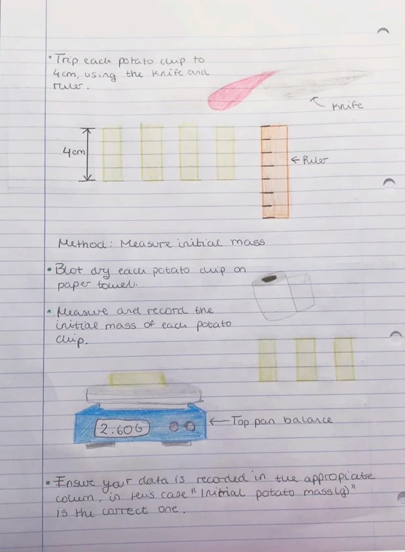Osmosis: Required Practical
1) Investigating osmosis
The aim:
Investigate how solution concentra-
-tion surrounding a potato chip.
affects %