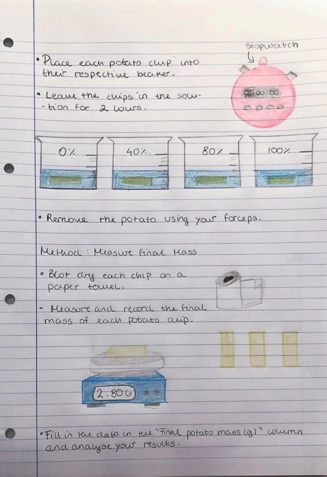 Osmosis: Required Practical
1) Investigating osmosis
The aim:
Investigate how solution concentra-
-tion surrounding a potato chip.
affects %
