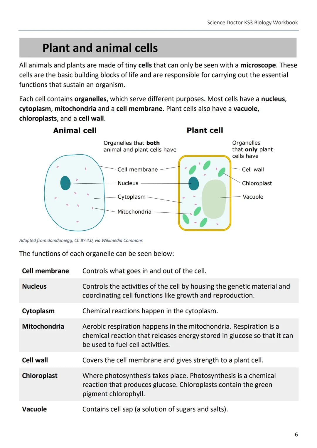 --- OCR Start ---
Science Doctor KS3 Biology Workbook
The Science Doctor
KS3 Biology
Workbook
Dr Peter Edmunds
1
--- OCR End --- --- OCR Sta
