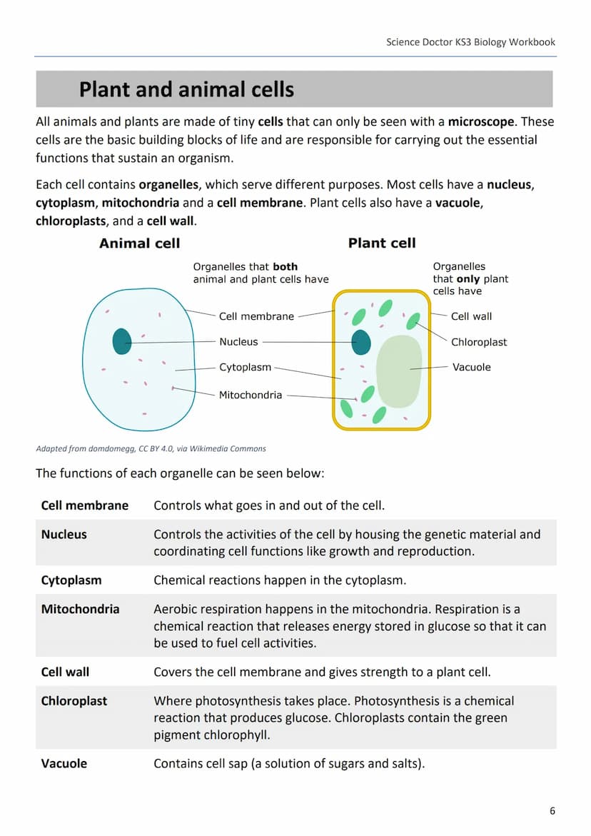 --- OCR Start ---
Science Doctor KS3 Biology Workbook
The Science Doctor
KS3 Biology
Workbook
Dr Peter Edmunds
1
--- OCR End --- --- OCR Sta