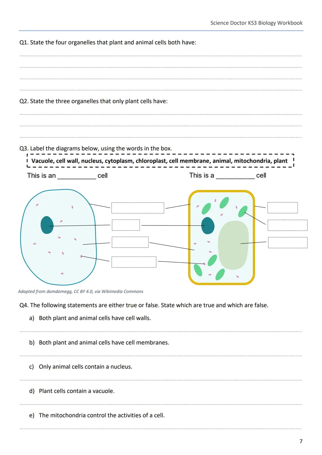 --- OCR Start ---
Science Doctor KS3 Biology Workbook
The Science Doctor
KS3 Biology
Workbook
Dr Peter Edmunds
1
--- OCR End --- --- OCR Sta