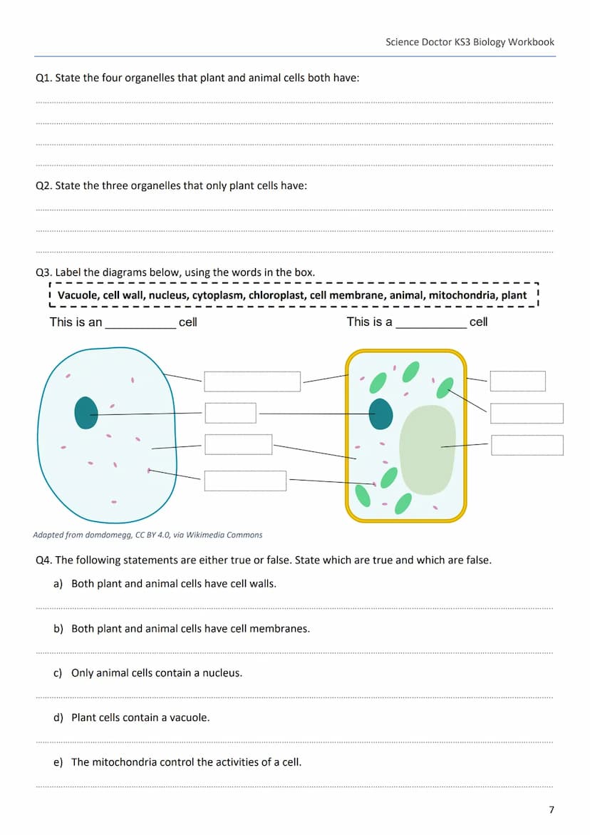 --- OCR Start ---
Science Doctor KS3 Biology Workbook
The Science Doctor
KS3 Biology
Workbook
Dr Peter Edmunds
1
--- OCR End --- --- OCR Sta