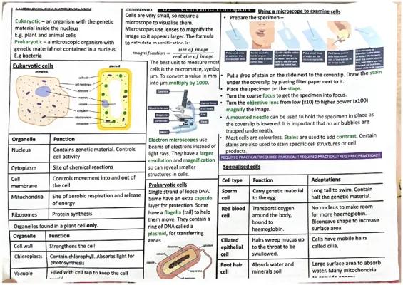 Know GCSE AQA COMBINED SCIENCE: Knowledge organisers topics B1,B2,B3,B4&B5 thumbnail