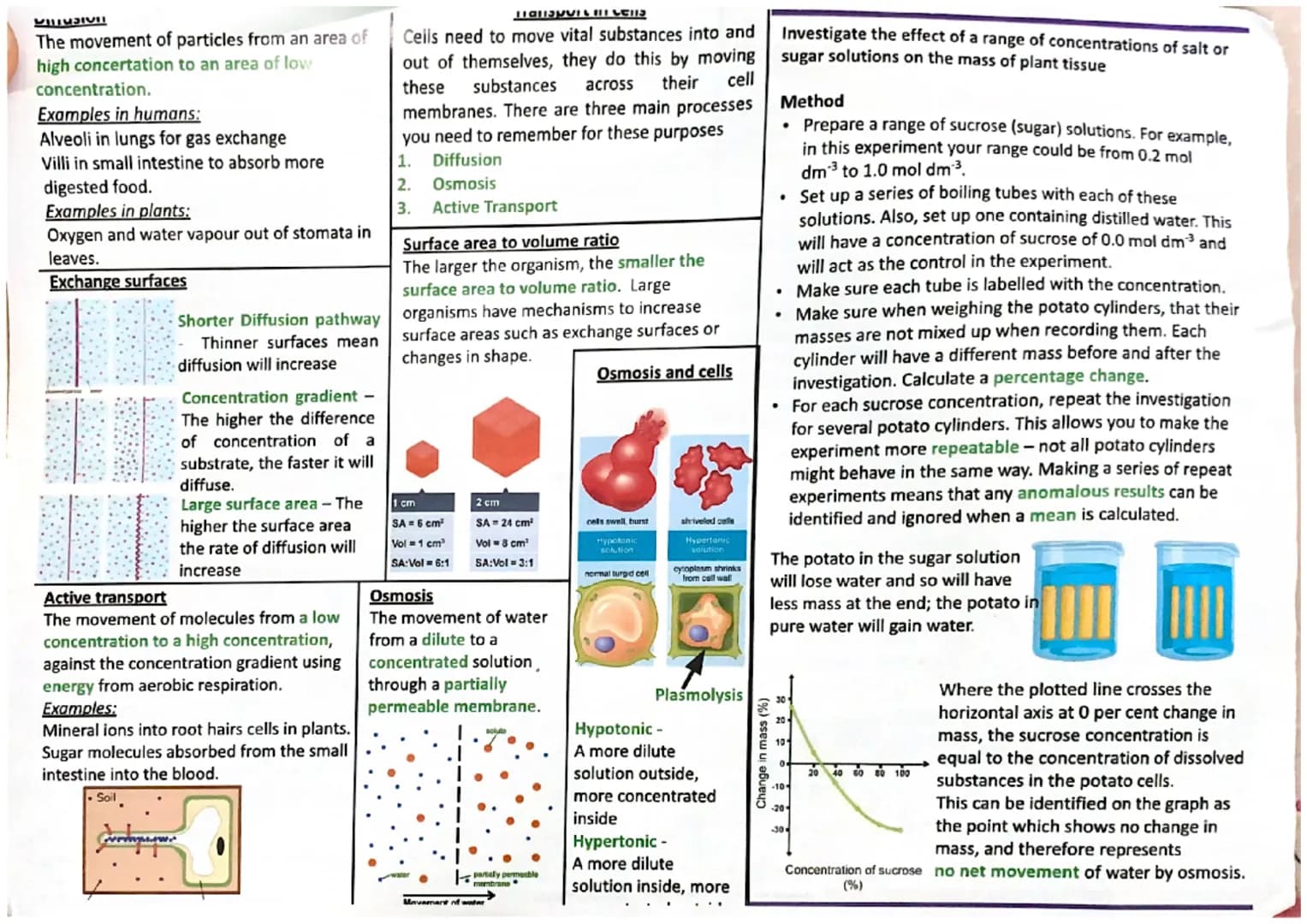 
<p>Prokaryotic cells are microscopic organisms with genetic material not contained in a nucleus and typically have a single strand of loose