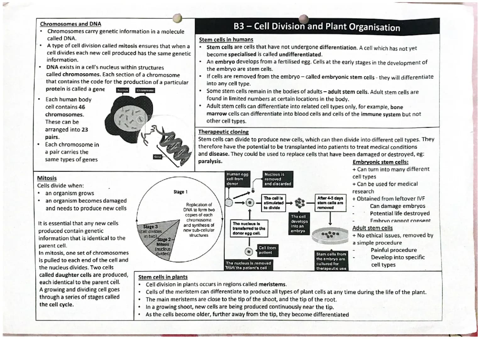 
<p>Prokaryotic cells are microscopic organisms with genetic material not contained in a nucleus and typically have a single strand of loose