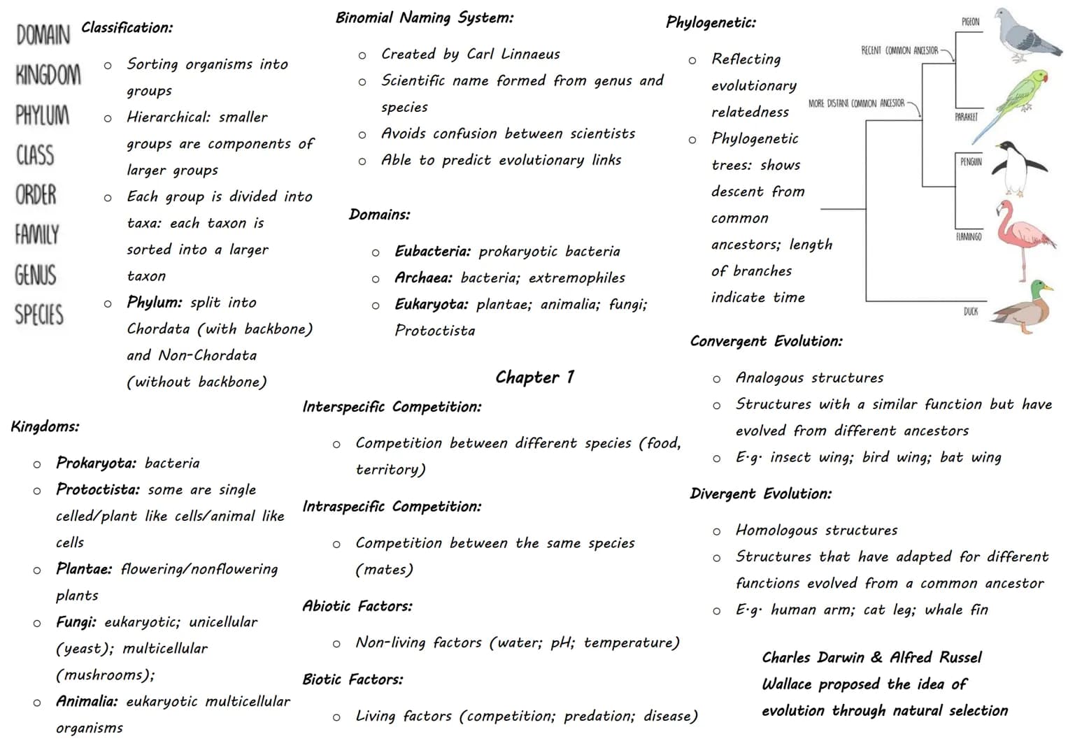 DOMAIN Classification:
KINGDOM
PHYLUM
CLASS
ORDER
FAMILY
GENUS
SPECIES
Kingdoms:
o Sorting organisms into
groups
Hierarchical: smaller
group