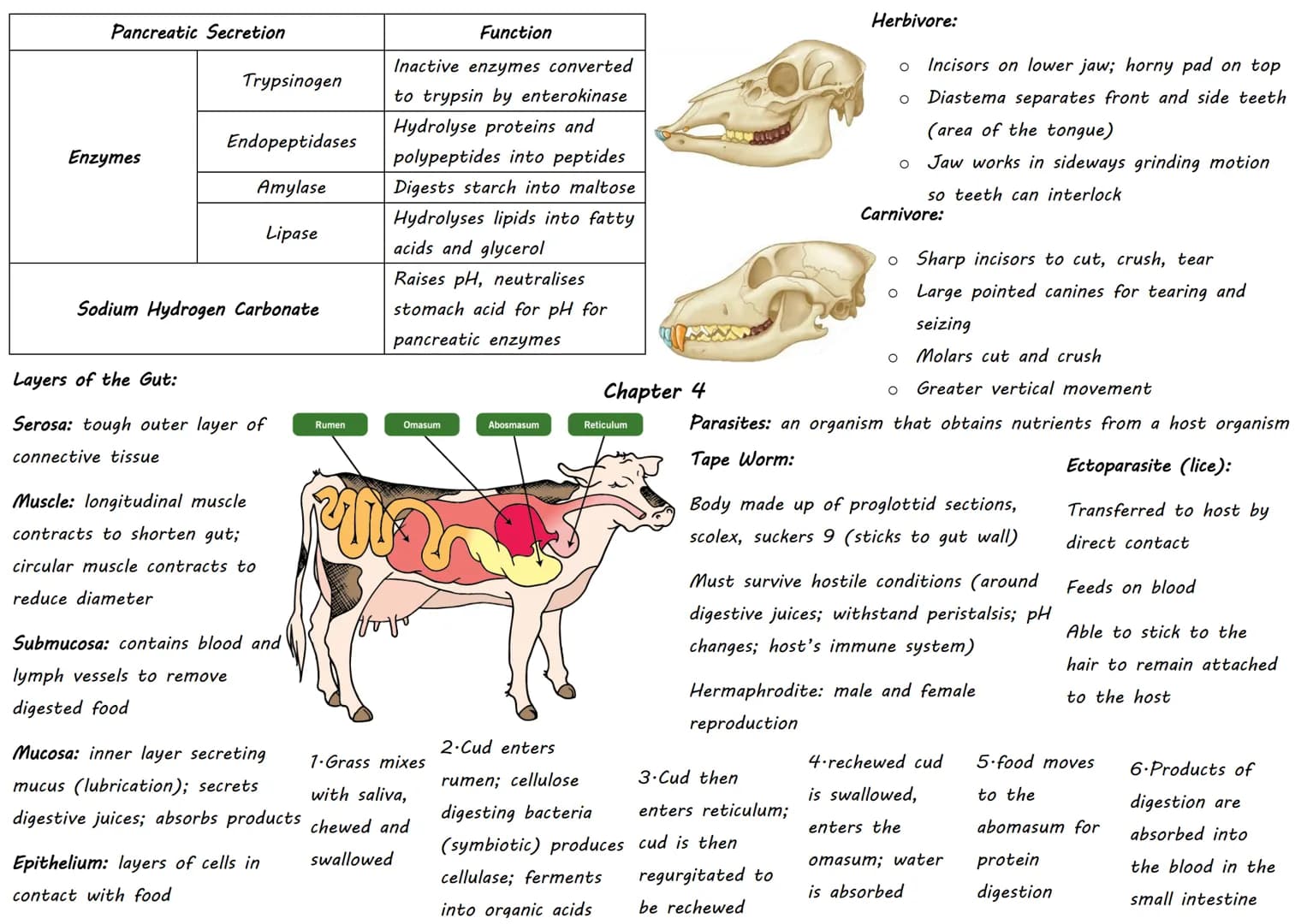 DOMAIN Classification:
KINGDOM
PHYLUM
CLASS
ORDER
FAMILY
GENUS
SPECIES
Kingdoms:
o Sorting organisms into
groups
Hierarchical: smaller
group