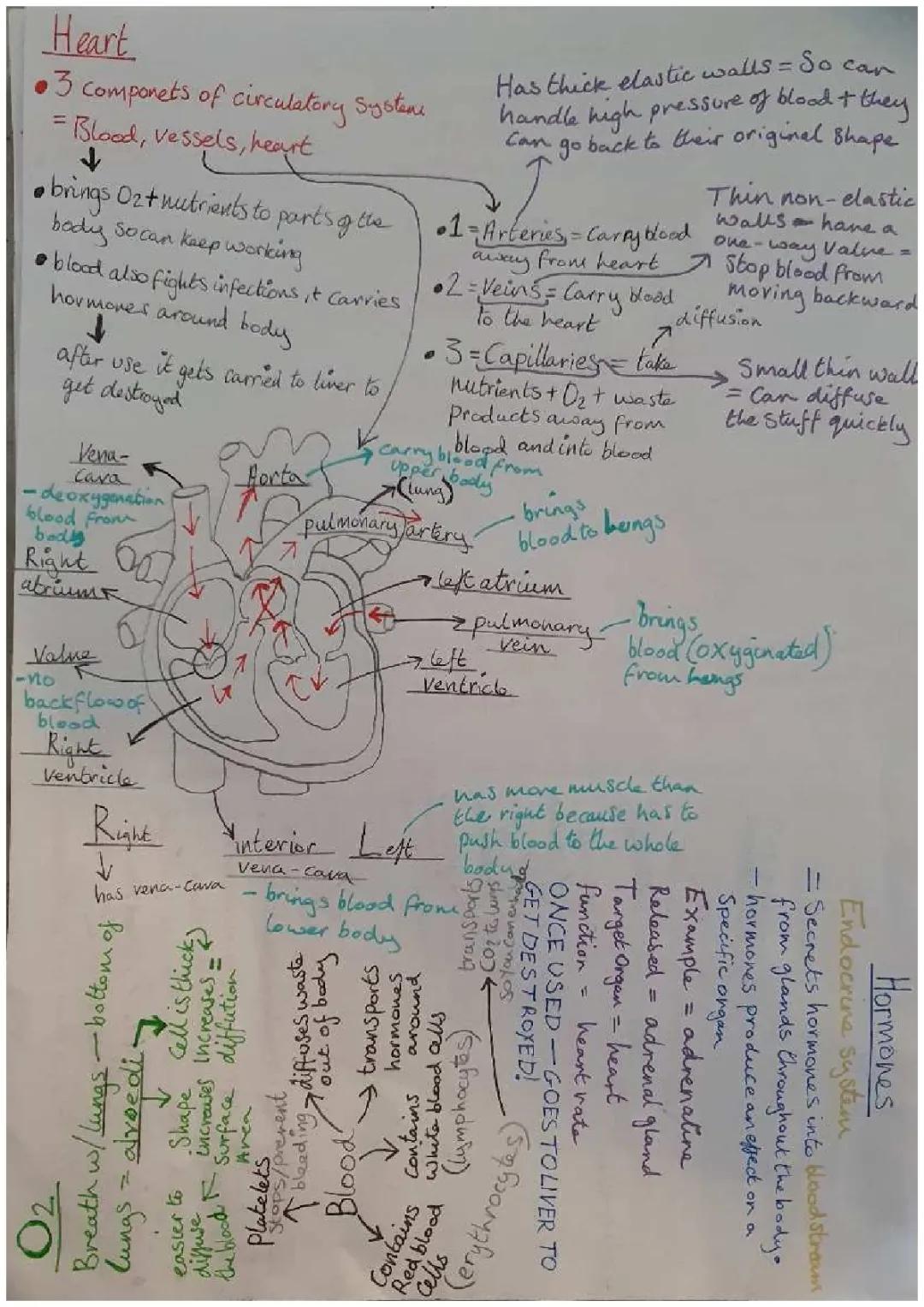 biology many topics