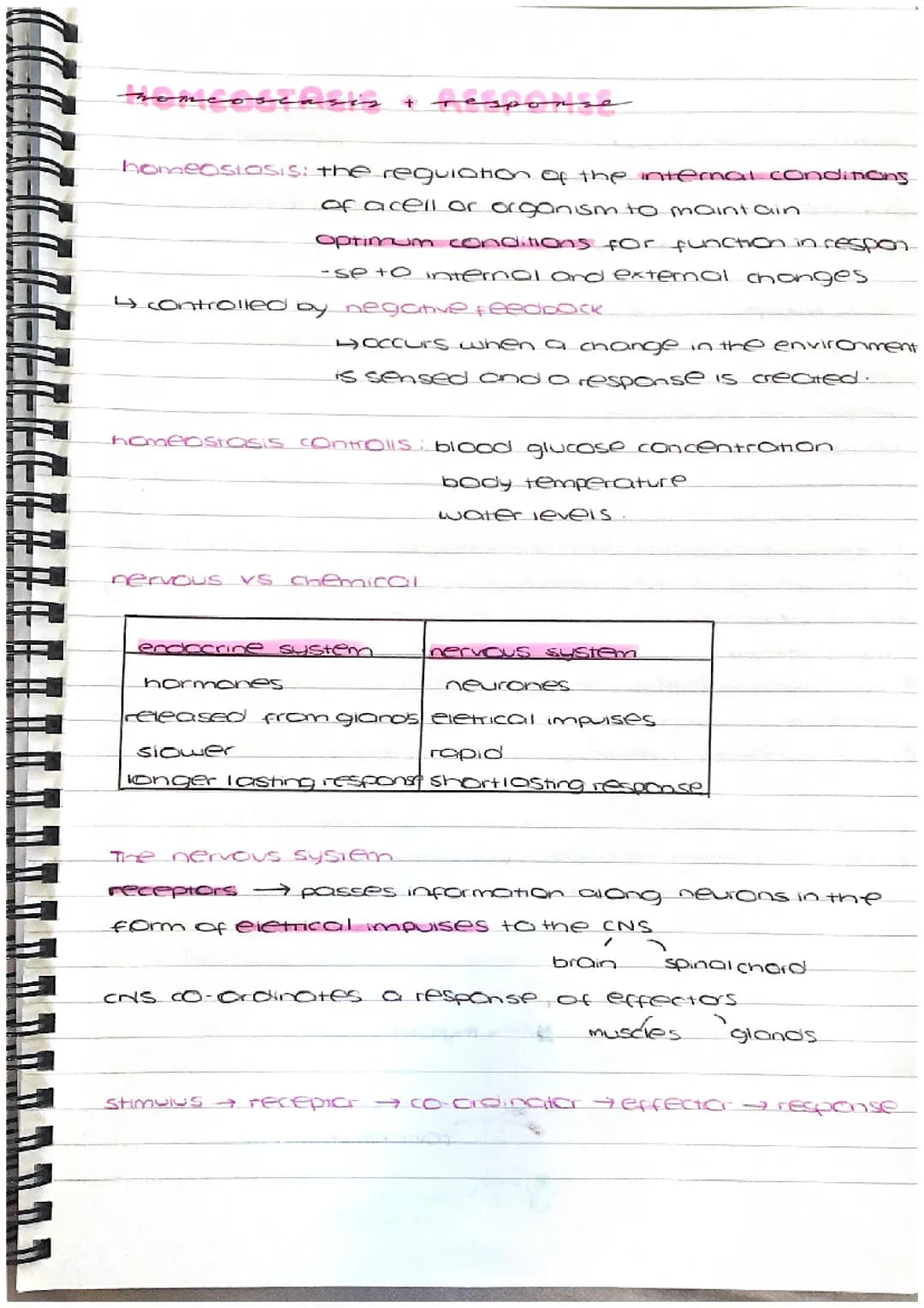 Homeostasis and response 