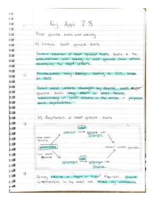 Know higher human biology - key area 2.8 (blood glucose levels and obesity) thumbnail