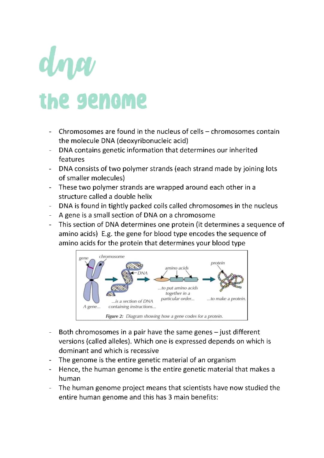 DNA