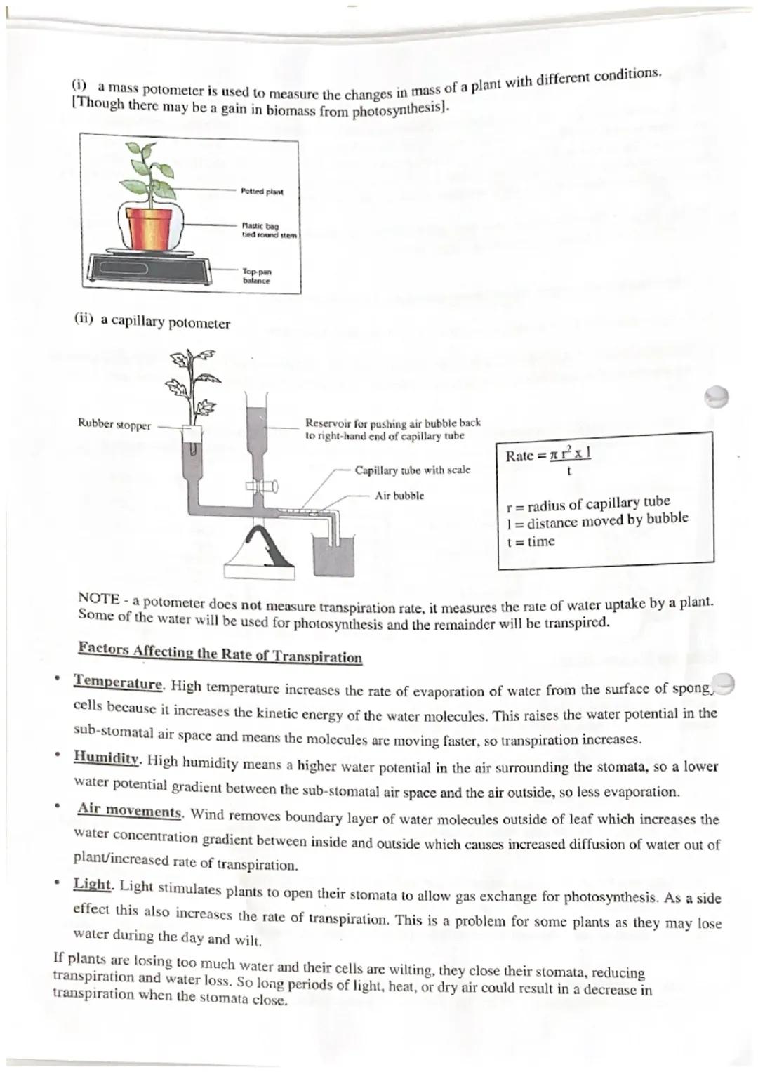 Water Transport in Plants
Vast amounts of water pass through plants. A large tree can use water at a rate of 1 dm³ min¹¹. Only 1% of
this wa