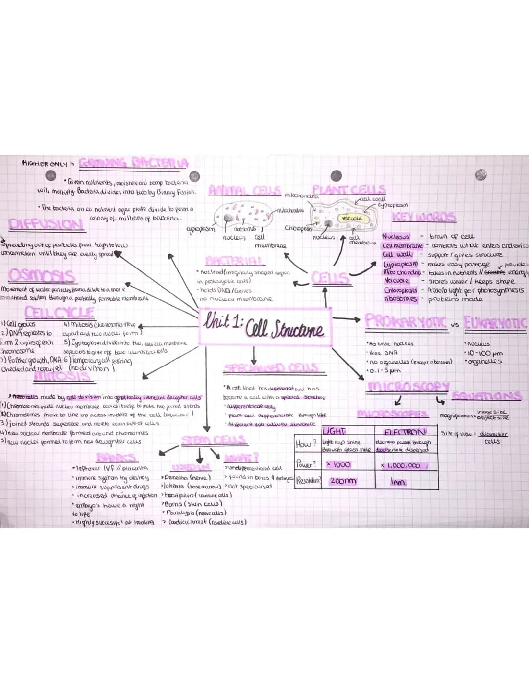 Nat 5 Biology: Cell Structure, Diffusion, Osmosis & Mitosis Mindmap
