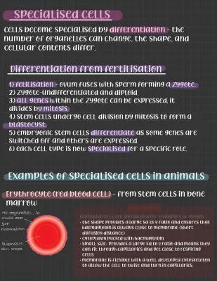 Know stem cells and specialised cells  thumbnail