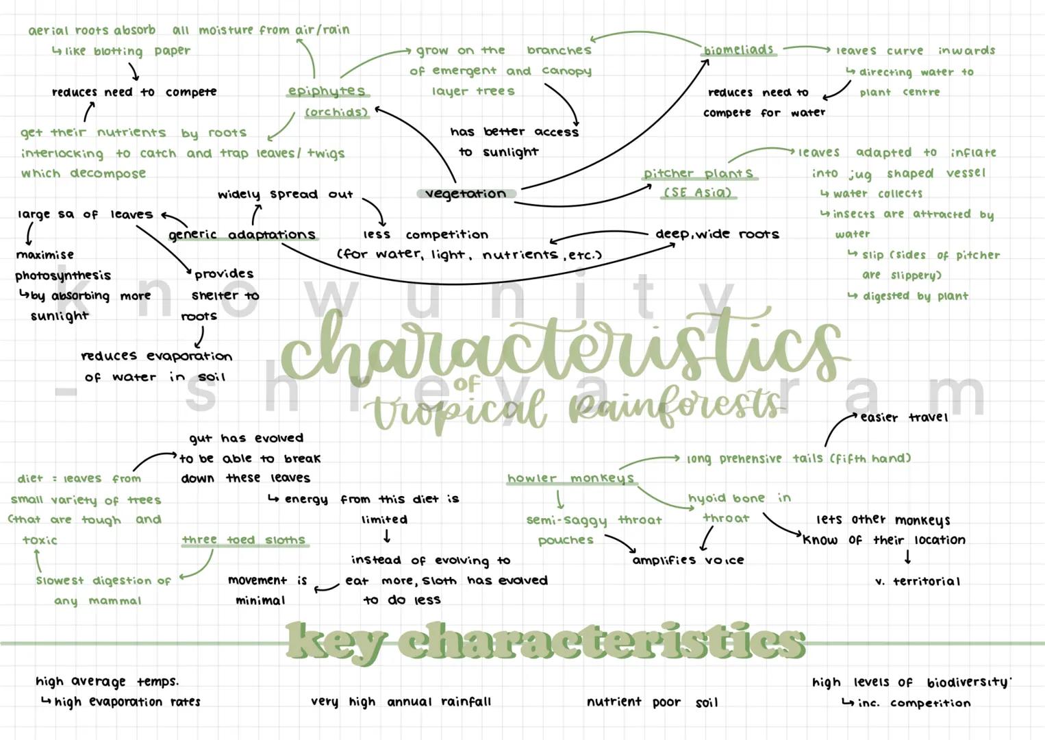 aerial roots absorb all moisture from air/rain
↳like blotting paper
reduces need to compete
/
get their nutrients by roots
interlocking to c