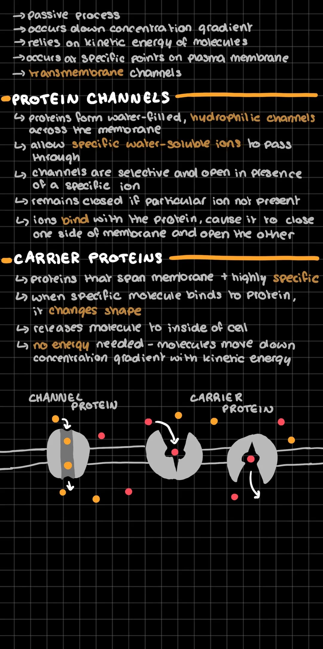 diffusion
↳all Particles are in motion due to kinetic
energy
2) motion is random - no set pattern
4 Particles constantly bouncing off one an