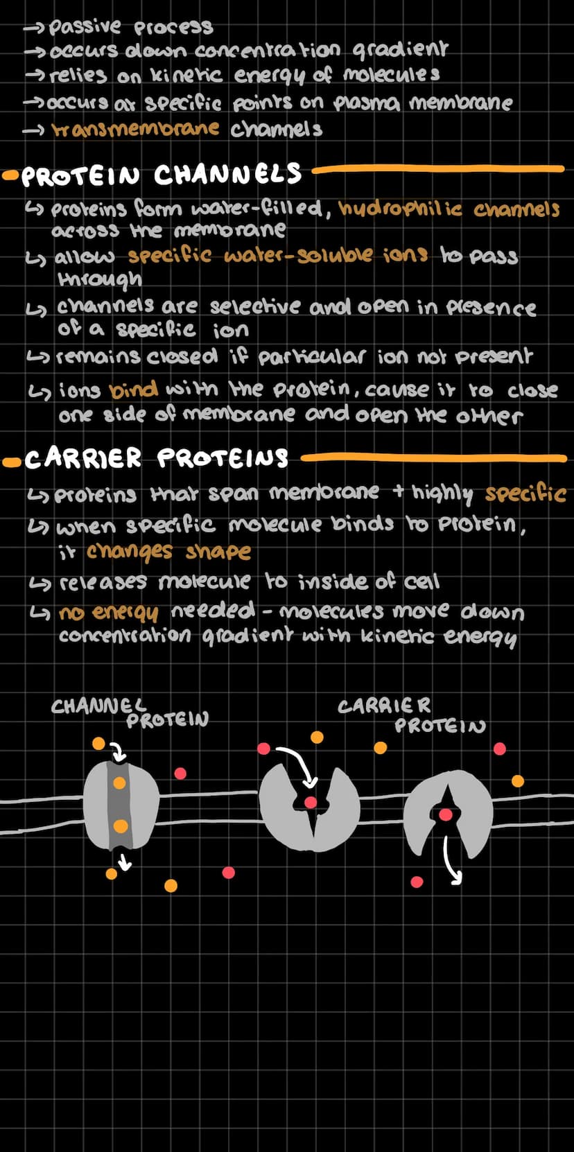 diffusion
↳all Particles are in motion due to kinetic
energy
2) motion is random - no set pattern
4 Particles constantly bouncing off one an