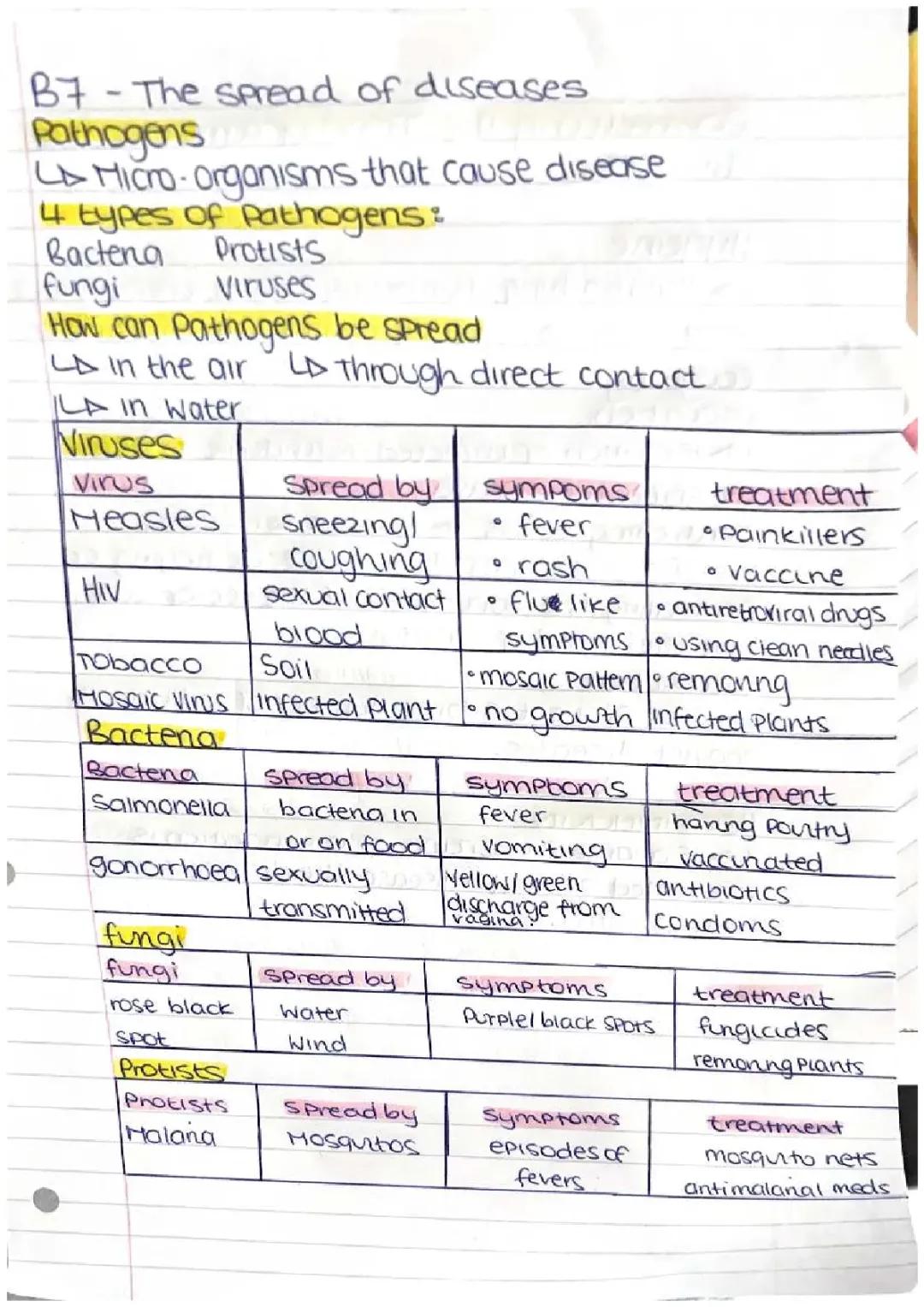 The spread of diseases - biology 