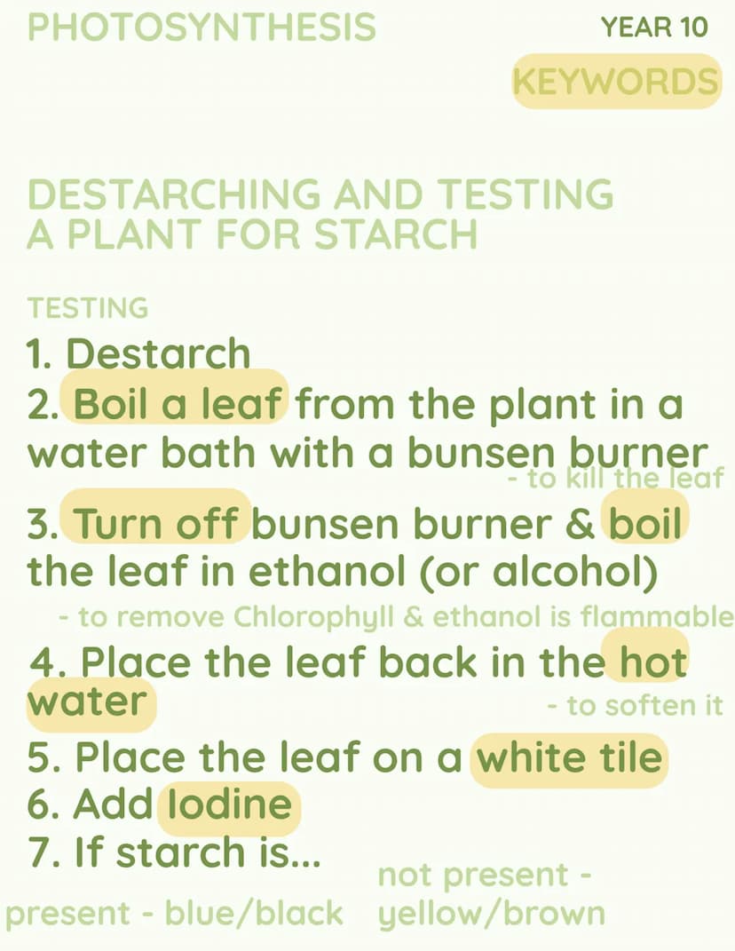 C
SUN
CO
OXYGEN
2
k
H₂O →
но
YEAR 10
PHOTOSYNTHESIS PHOTOSYNTHESIS
Photosynthesis
can also be
wrote as 'psyn'
YEAR 10
KEYWORDS
WHAT IS IT?
T