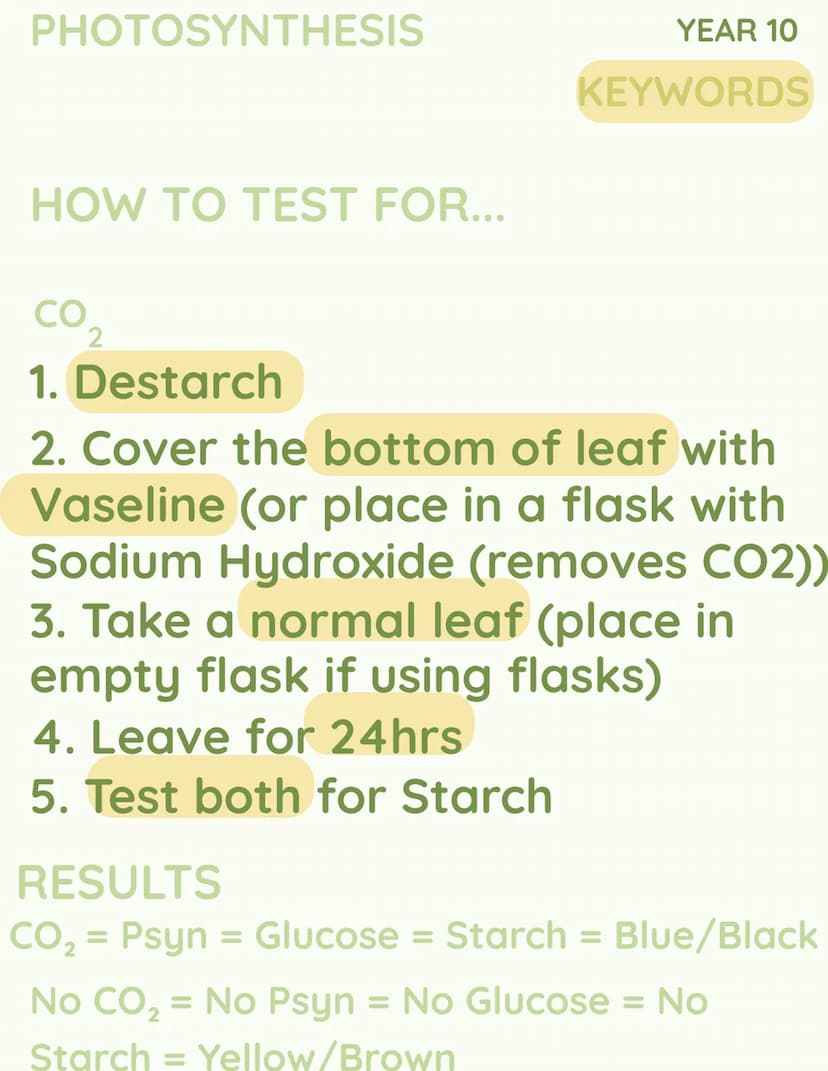 C
SUN
CO
OXYGEN
2
k
H₂O →
но
YEAR 10
PHOTOSYNTHESIS PHOTOSYNTHESIS
Photosynthesis
can also be
wrote as 'psyn'
YEAR 10
KEYWORDS
WHAT IS IT?
T