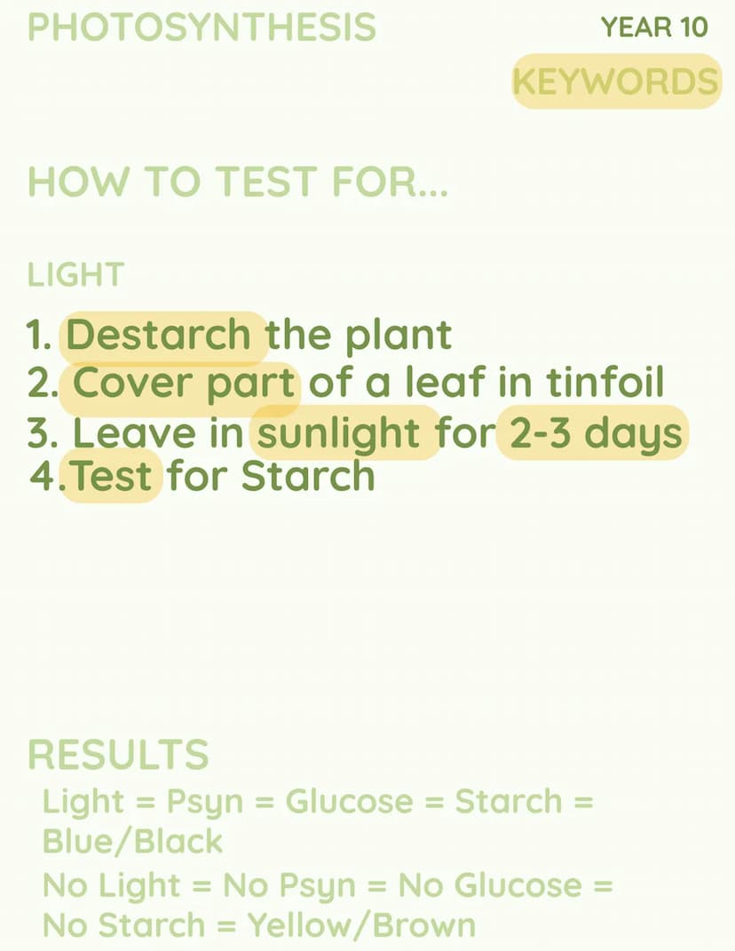 C
SUN
CO
OXYGEN
2
k
H₂O →
но
YEAR 10
PHOTOSYNTHESIS PHOTOSYNTHESIS
Photosynthesis
can also be
wrote as 'psyn'
YEAR 10
KEYWORDS
WHAT IS IT?
T