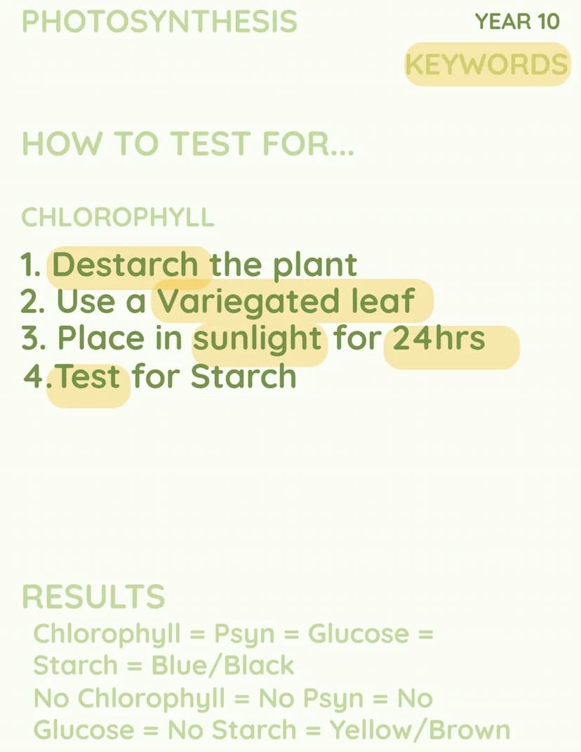 C
SUN
CO
OXYGEN
2
k
H₂O →
но
YEAR 10
PHOTOSYNTHESIS PHOTOSYNTHESIS
Photosynthesis
can also be
wrote as 'psyn'
YEAR 10
KEYWORDS
WHAT IS IT?
T
