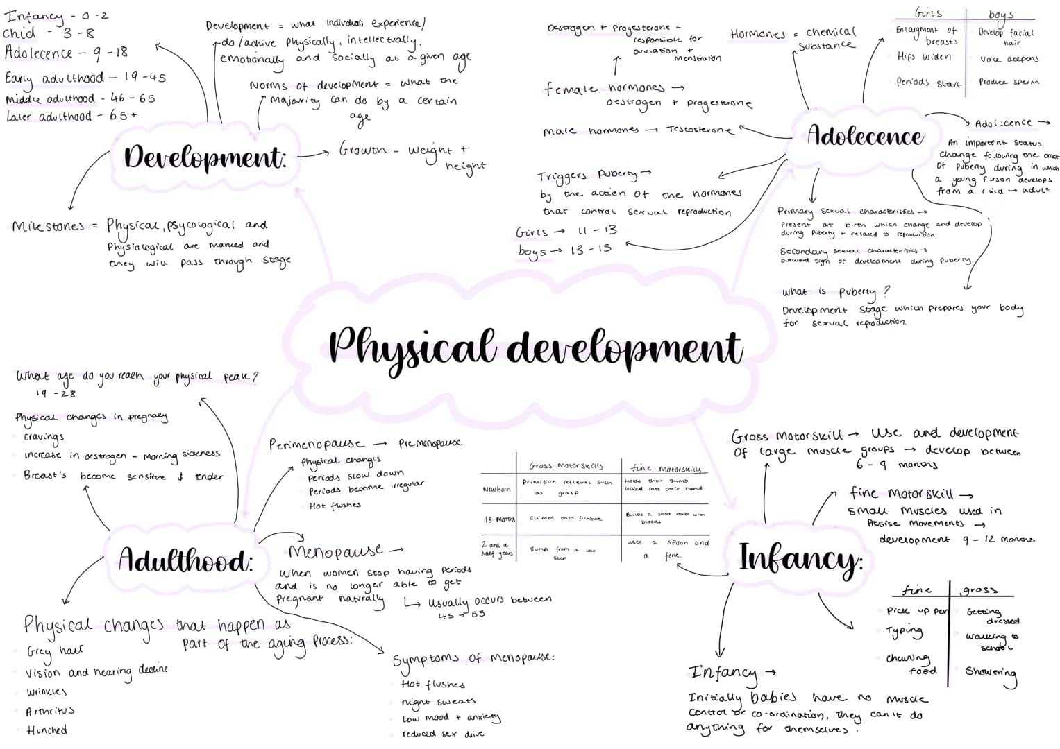 Infancy
-0-2
chid 3-8
Adolecence - 9-18
Early adulthood - 19-45
Midde adulthood - 46-65
Later adulthood - 65+
what age do
19-28
Development: