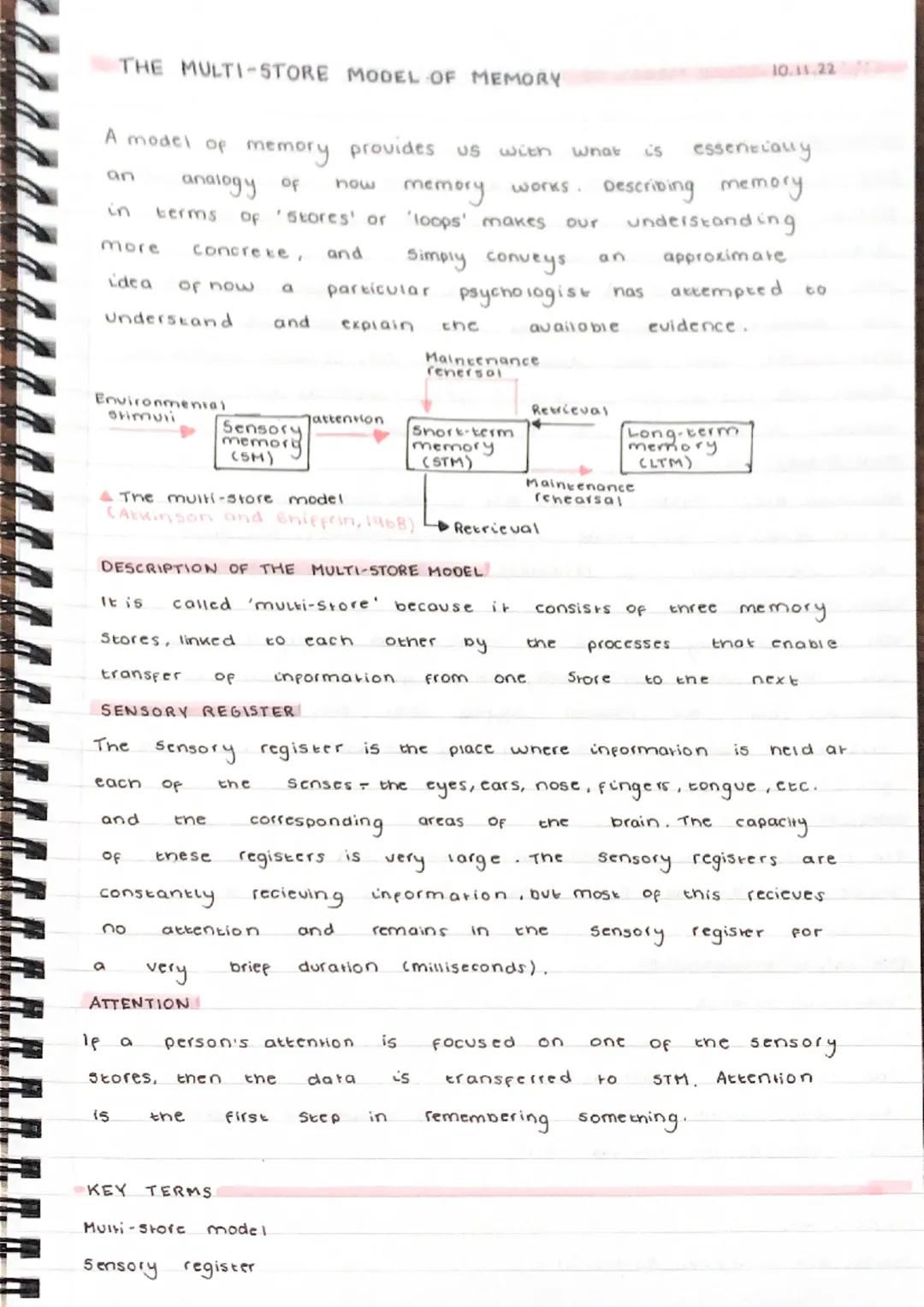 # THE MULTI-STORE MODEL OF MEMORY

A model of memory provides us with what is essentially
an analogy of now memory works. Describing memory
