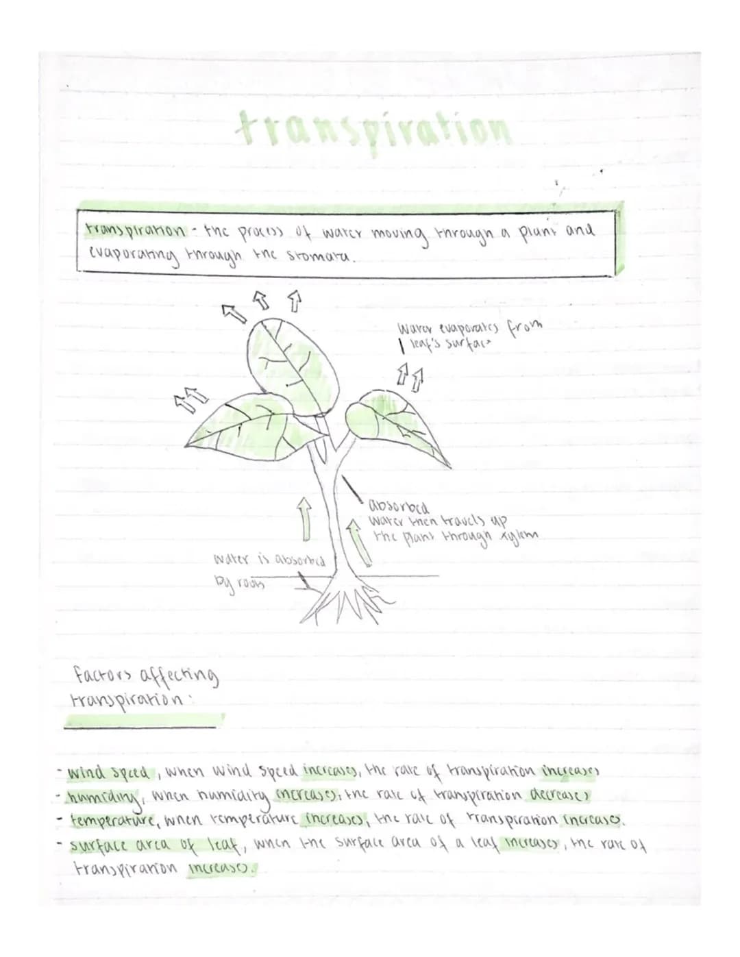 poduring-nenat
چیفر
cours
mill
cell division
UNIT 2 KAI
8105121
-micro-organisms grow through cell division
-cell division is essential to a